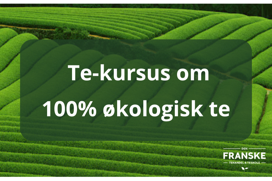 Et%2Bkursus%2Bom%2B%25C3%25B8kologisk%2Bte.png