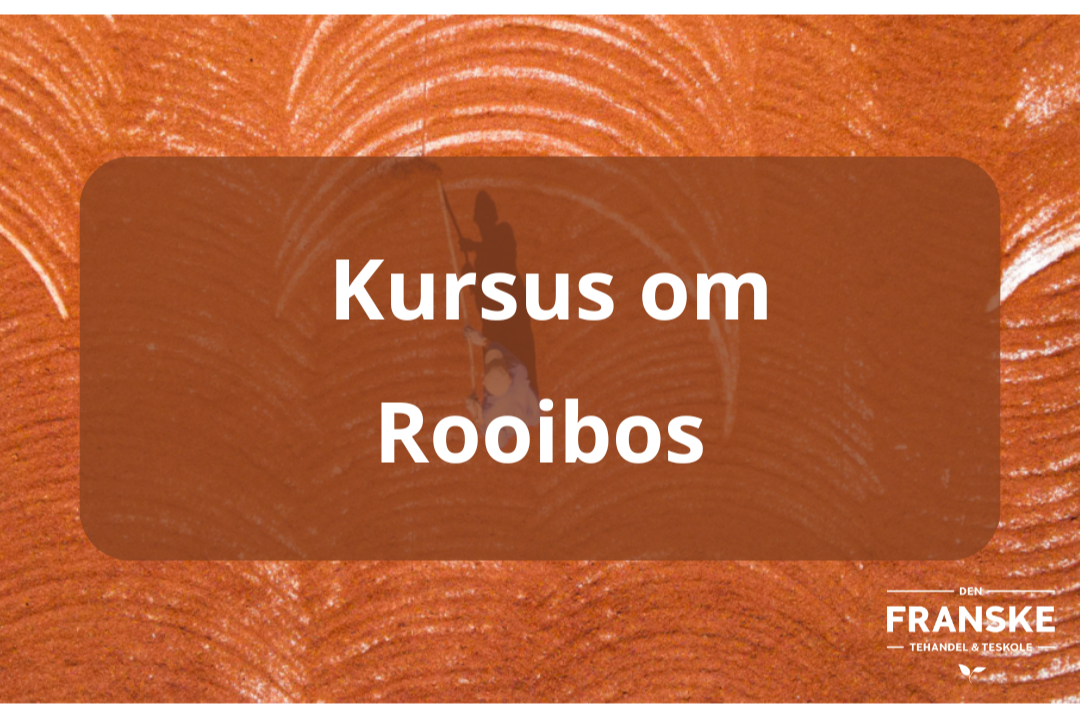 Et+kursus+om+Rooibos.png