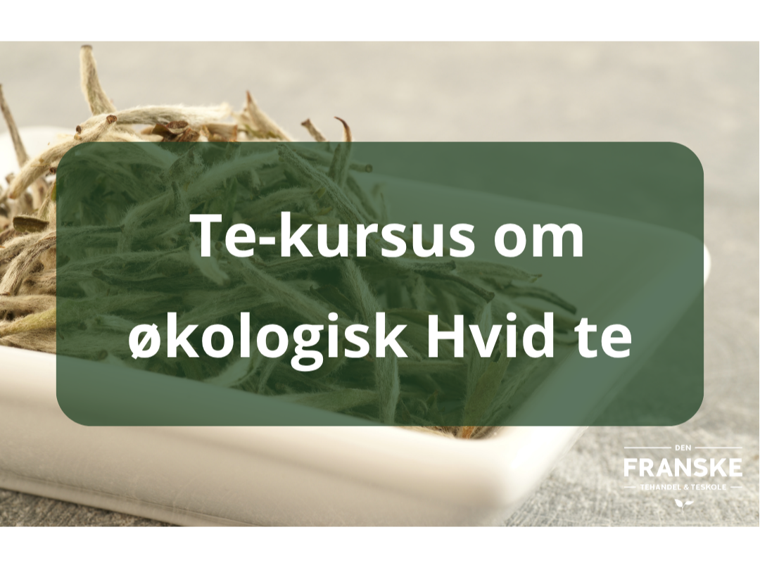 Lørdag den 17. oktober 2026 kl. 15.00 til 16.30