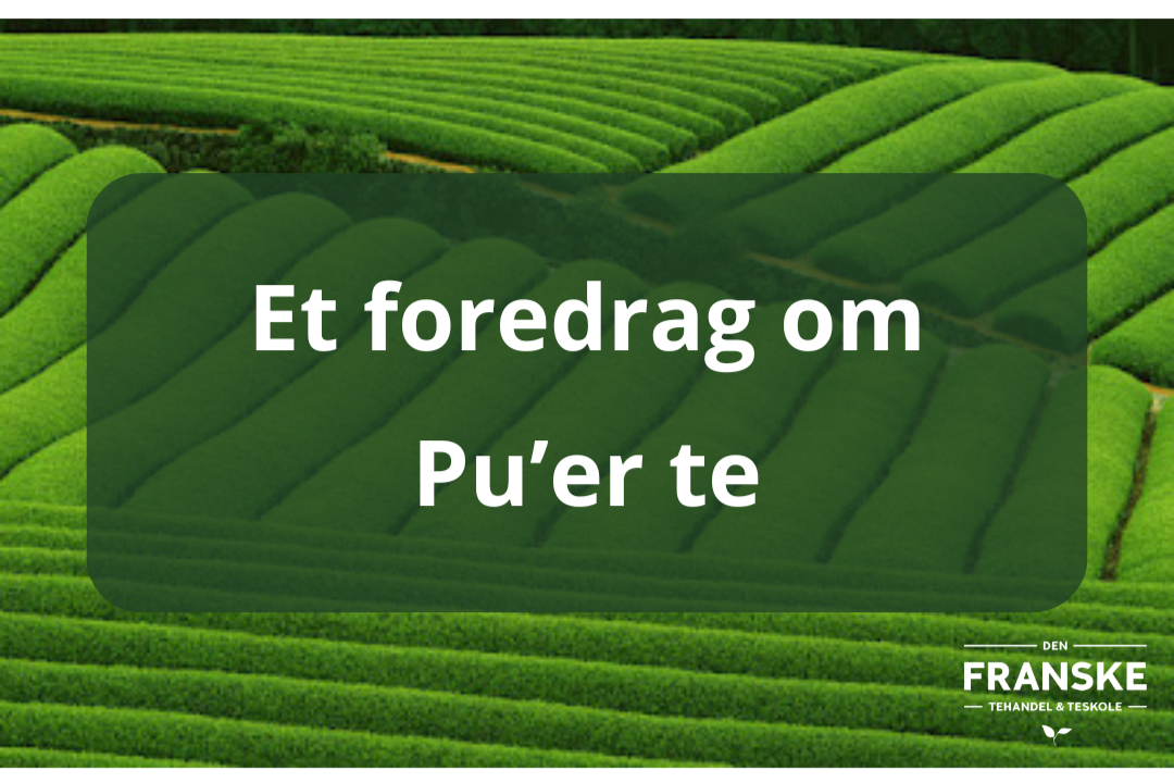 Et+foredrag+om+Pu+Erh+te.png