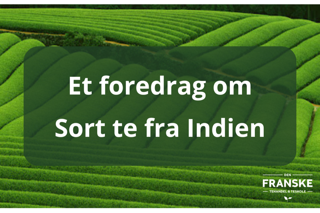 Et+foredrag+om+Sort+Indien++te.png