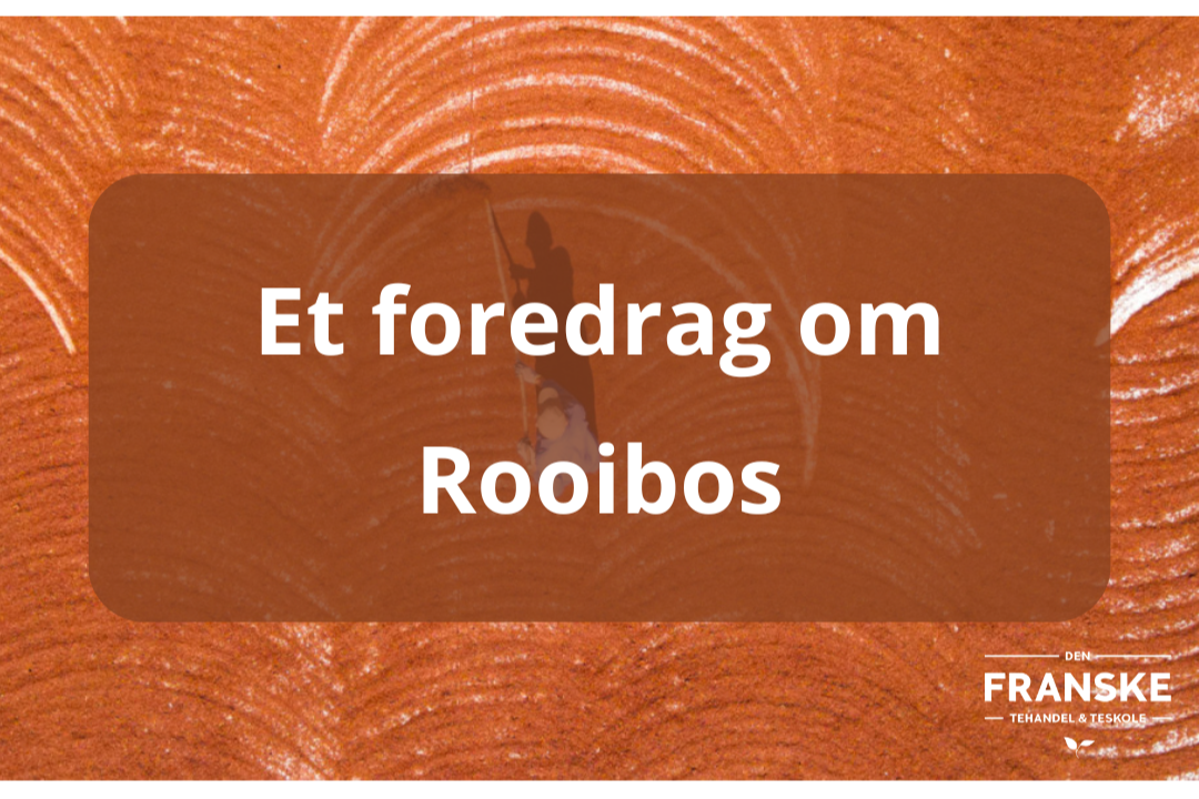 Et+foredrag+om+Rooibos.png