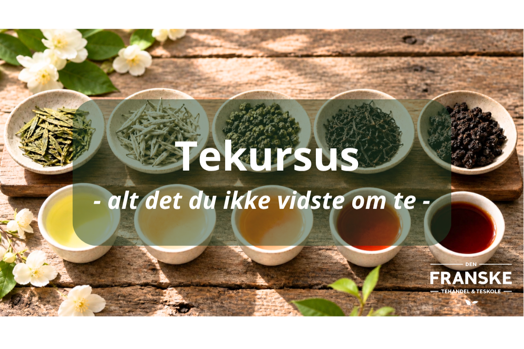 Kopi+af+Te-kursus+alt+det+du+ikke+vidste+om+te-4.png (Copy) (Copy)