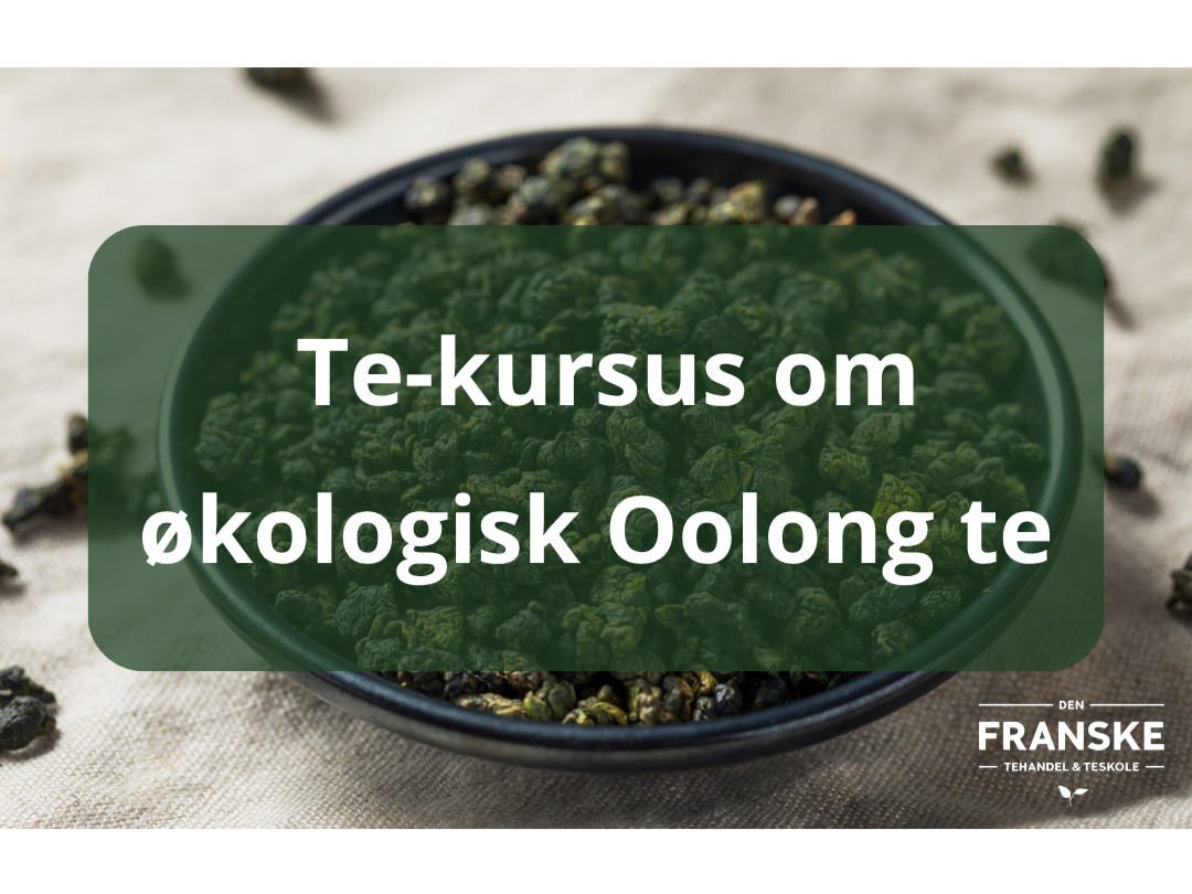 Kursus+om+Oolong+te+NYESTE.png
