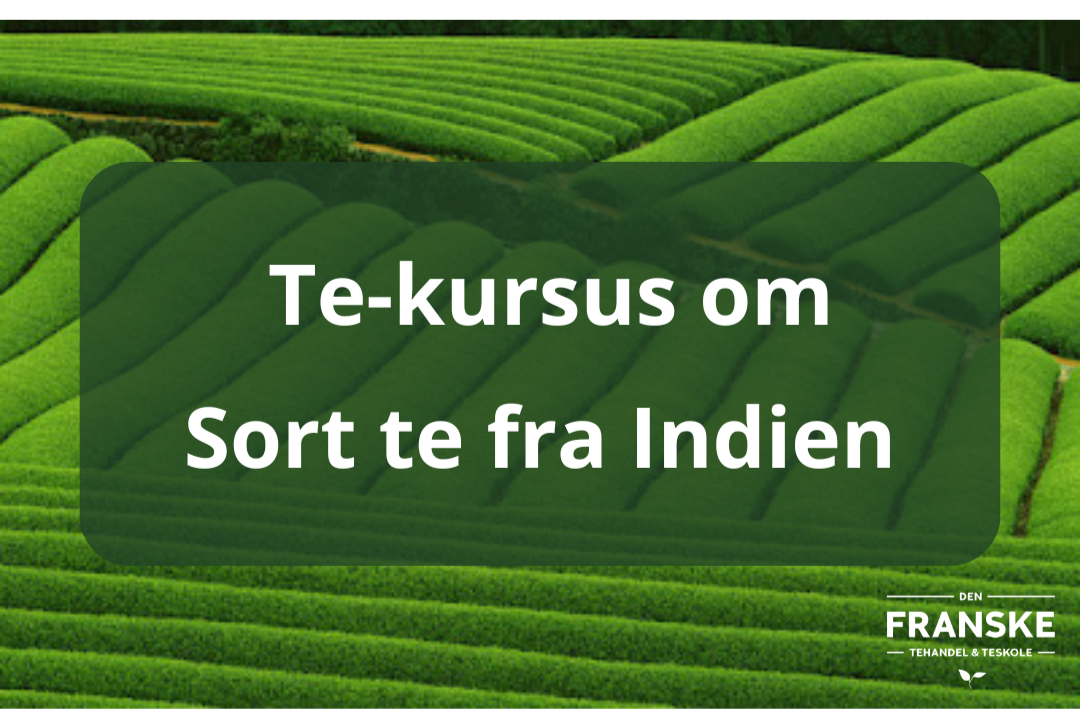 Et+kursus+om+Sort+Indien++te.png