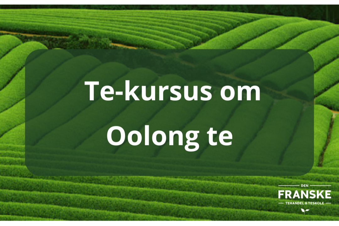 Et+kursus+om+Oolong++te.png