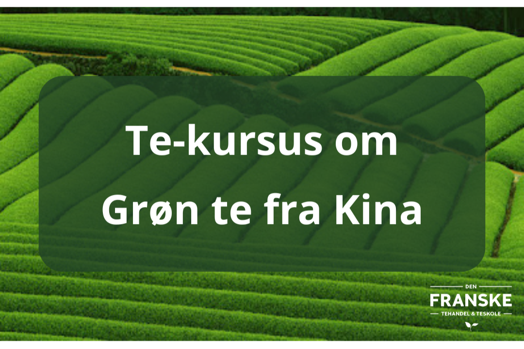 Et+kursus+om+kina+gr%C3%B8n++te.png