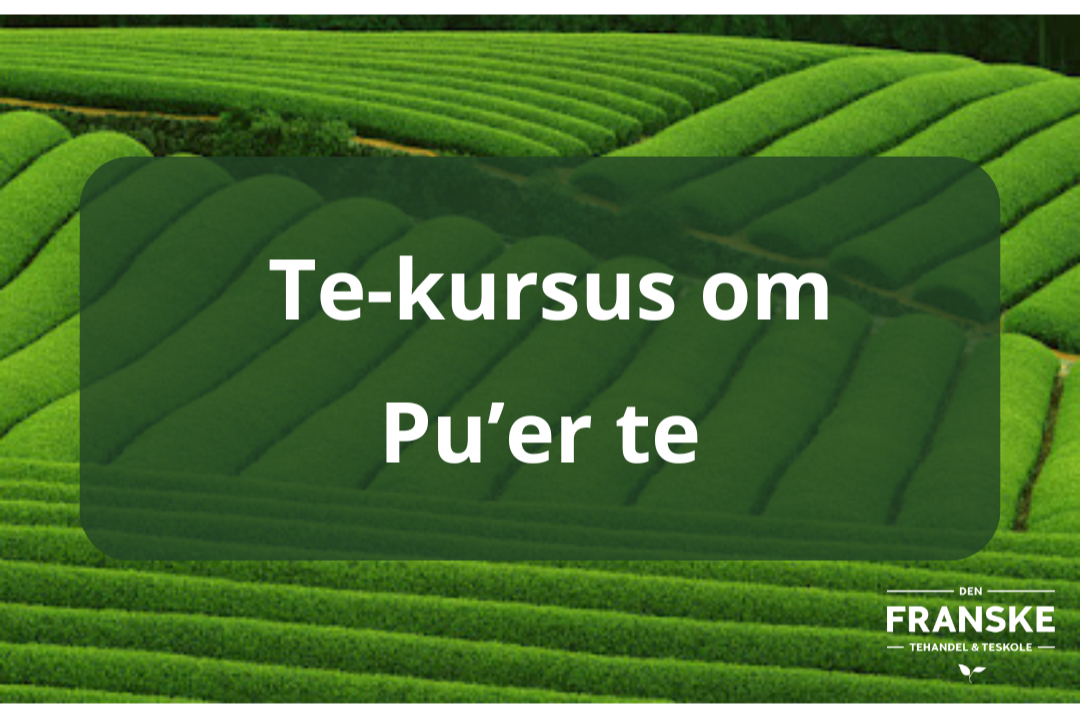 Et+kursus+om+Pu+Erh+te.png