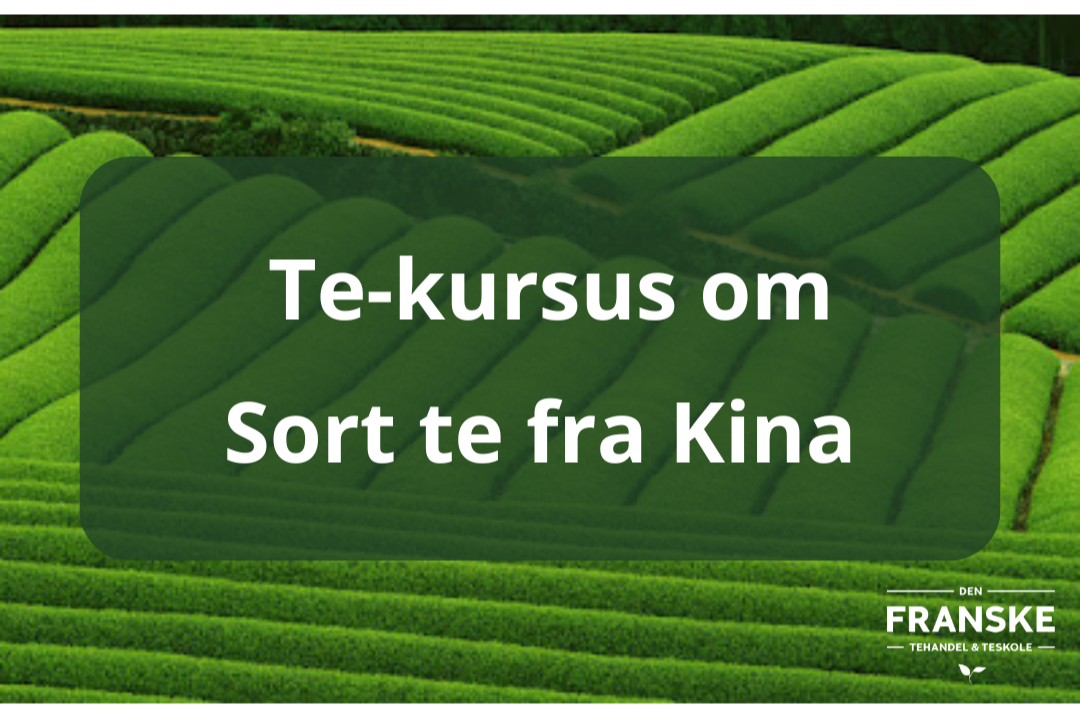 Et+kursus+om+Sort+Kina++te.png