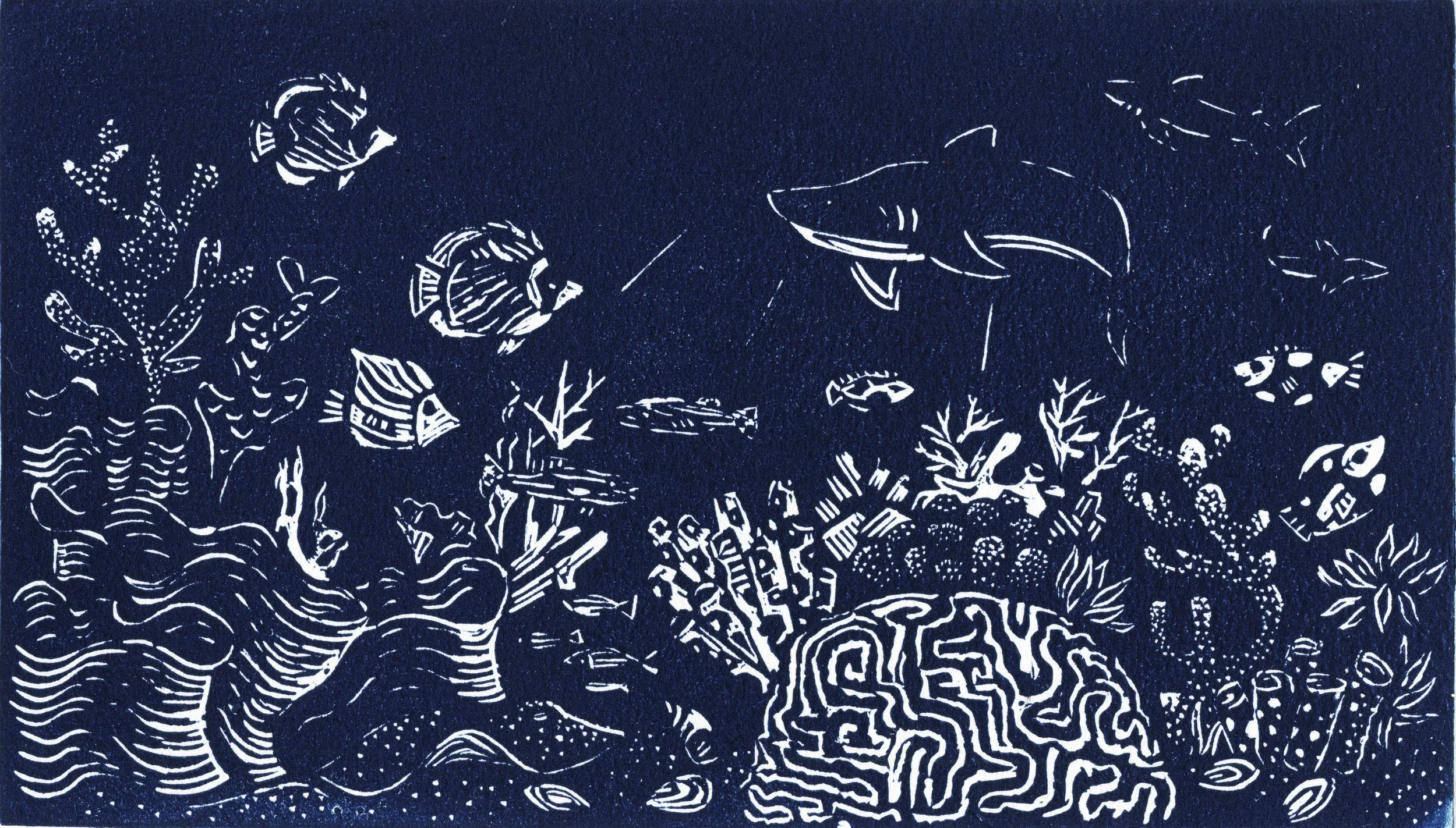 Into the Blue Crop 2.jpg