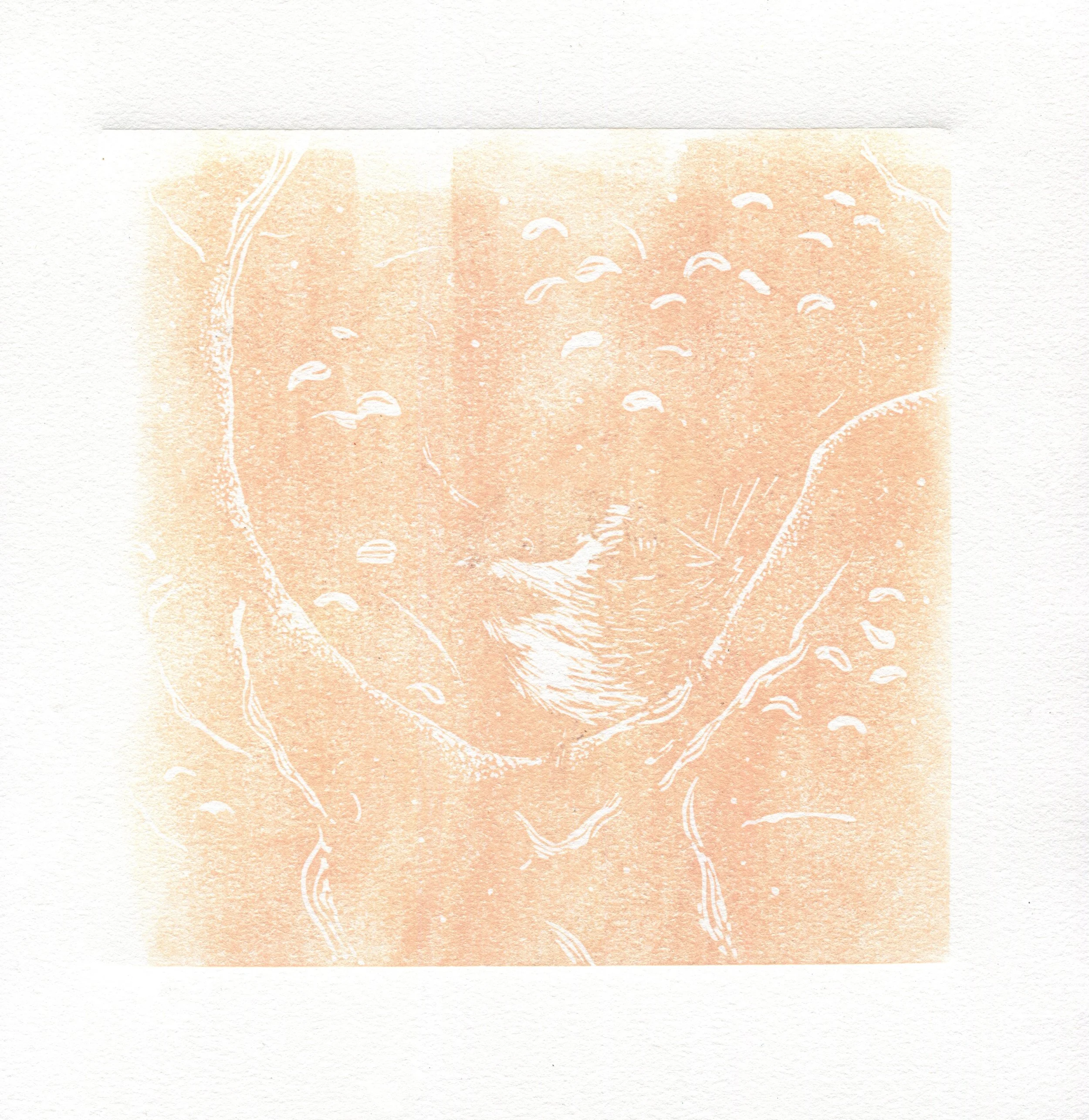 chickdee 1st layer.jpg