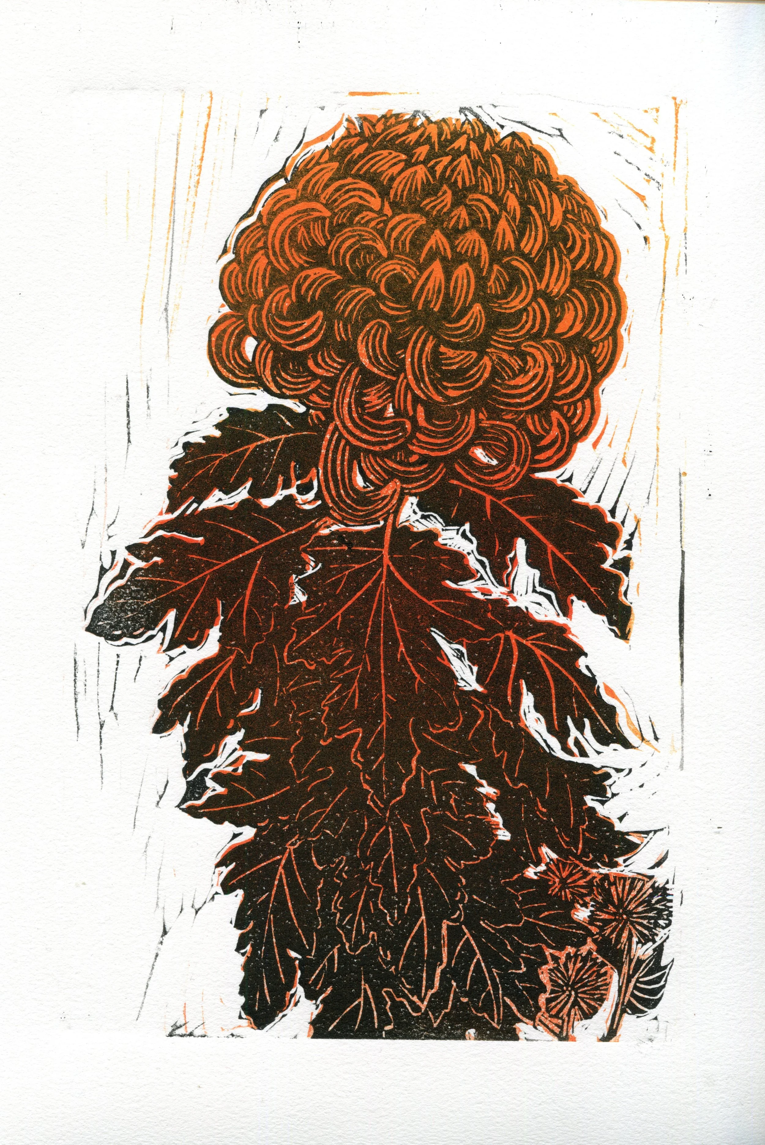 chrysanthemum.jpg