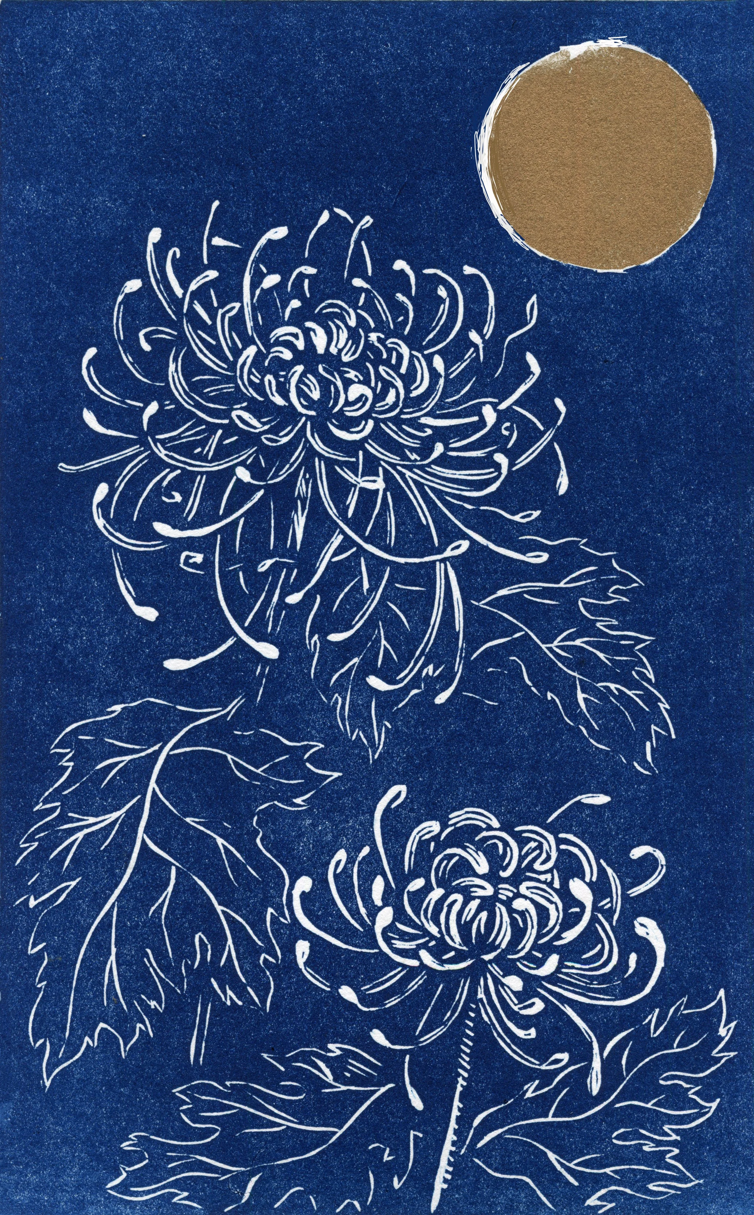spider mum blue close crop edit.jpg