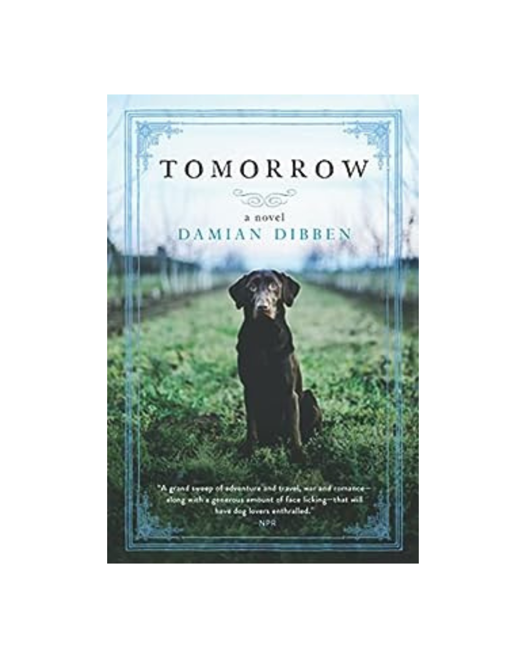 Tomorrow By Damian Dibben