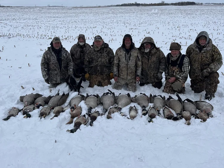 Hunters lined up behind a row of late season geese on the snow