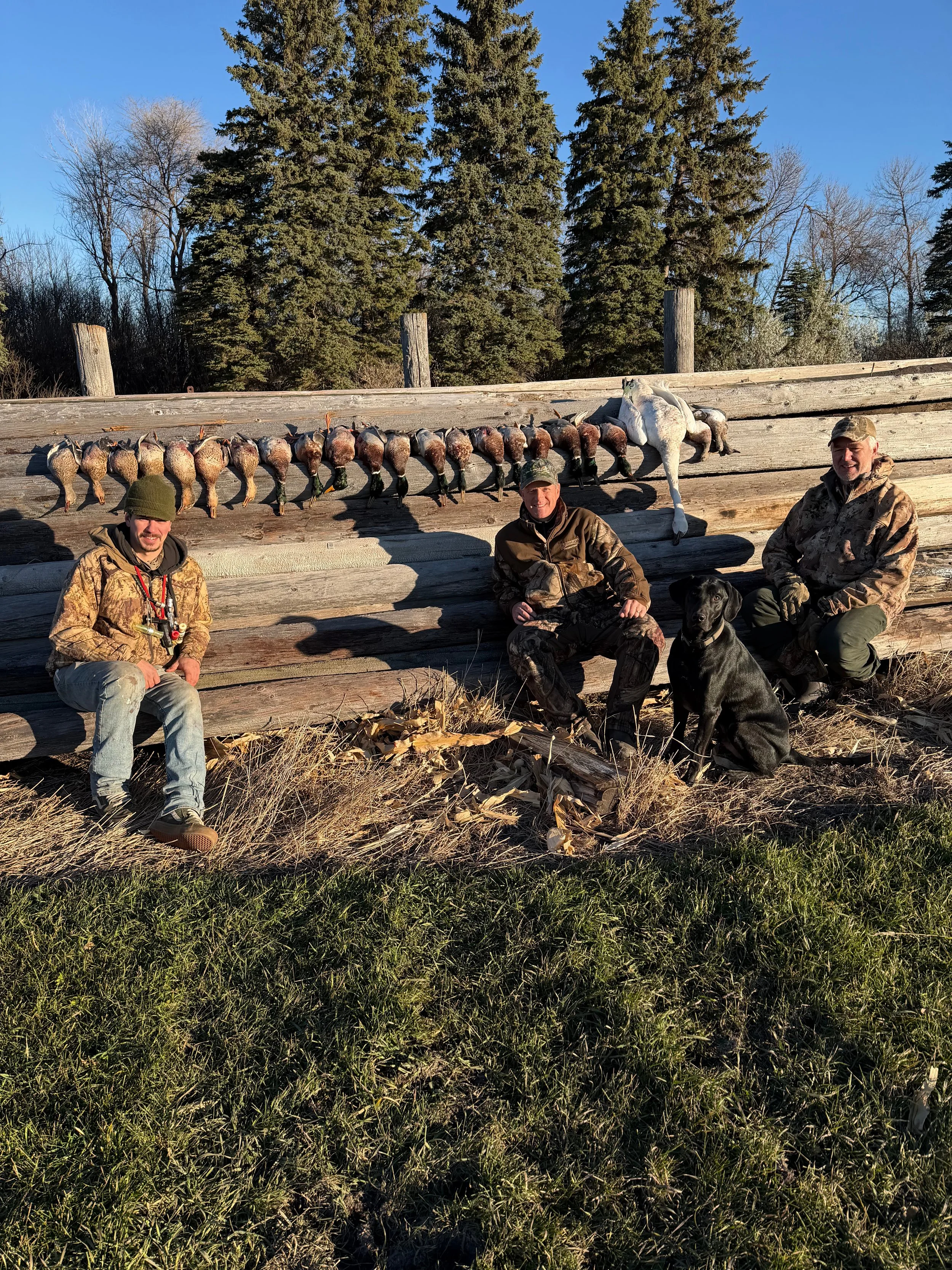 36a0fda7-c3a7-4041-a31b-97e08bab94bb.jpg