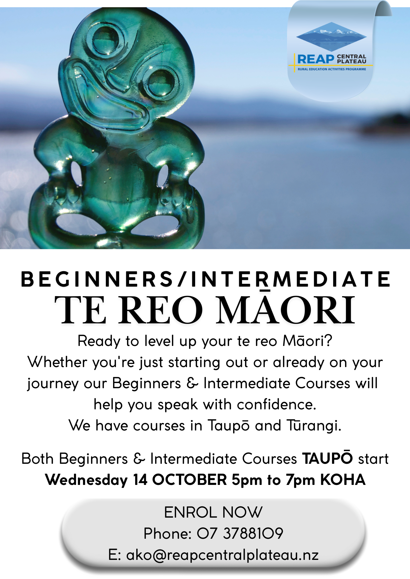 Beginners/Intermediate Te Reo Māori - Taupō