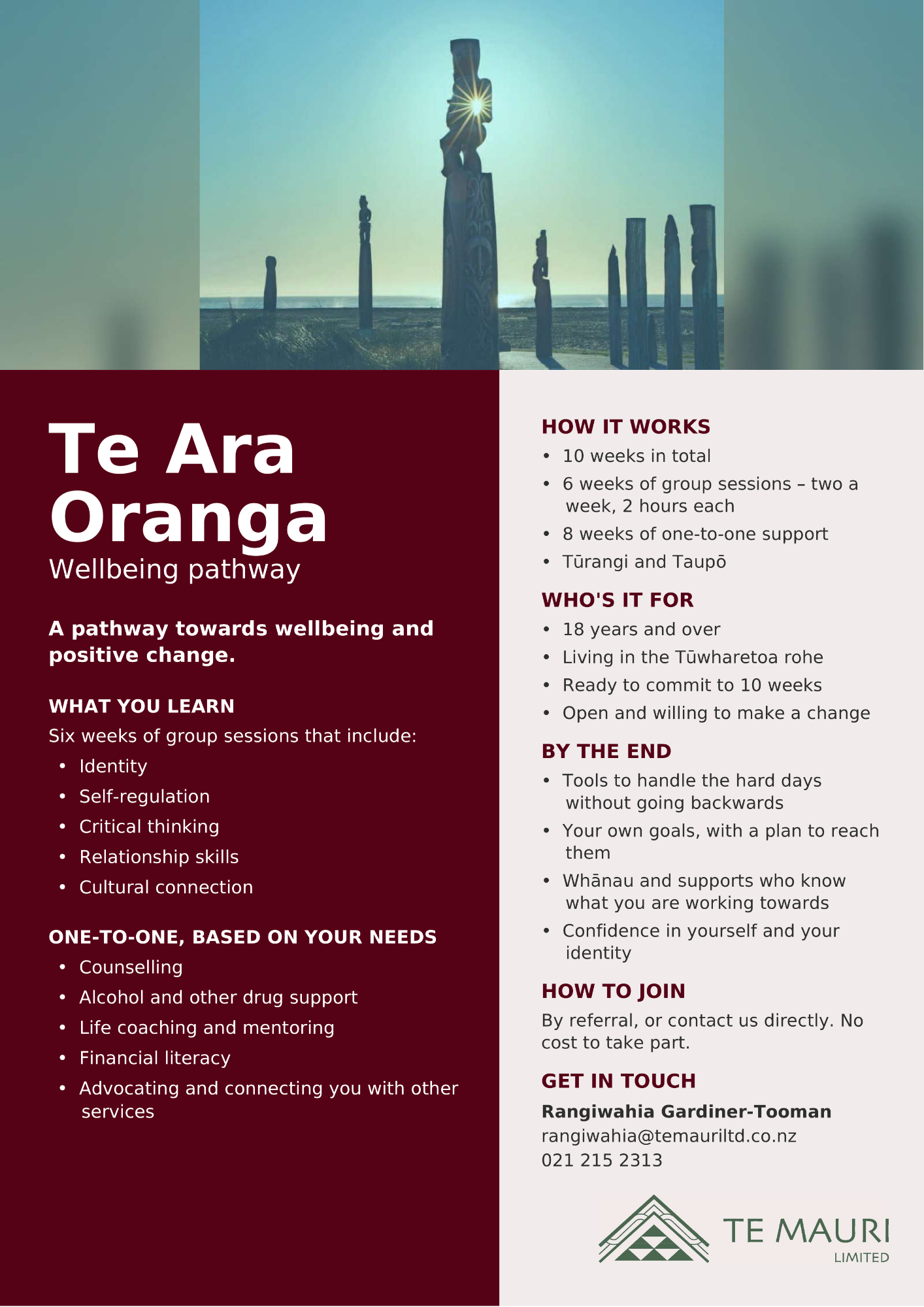 Te Mauri Limited - Te Ara Oranga