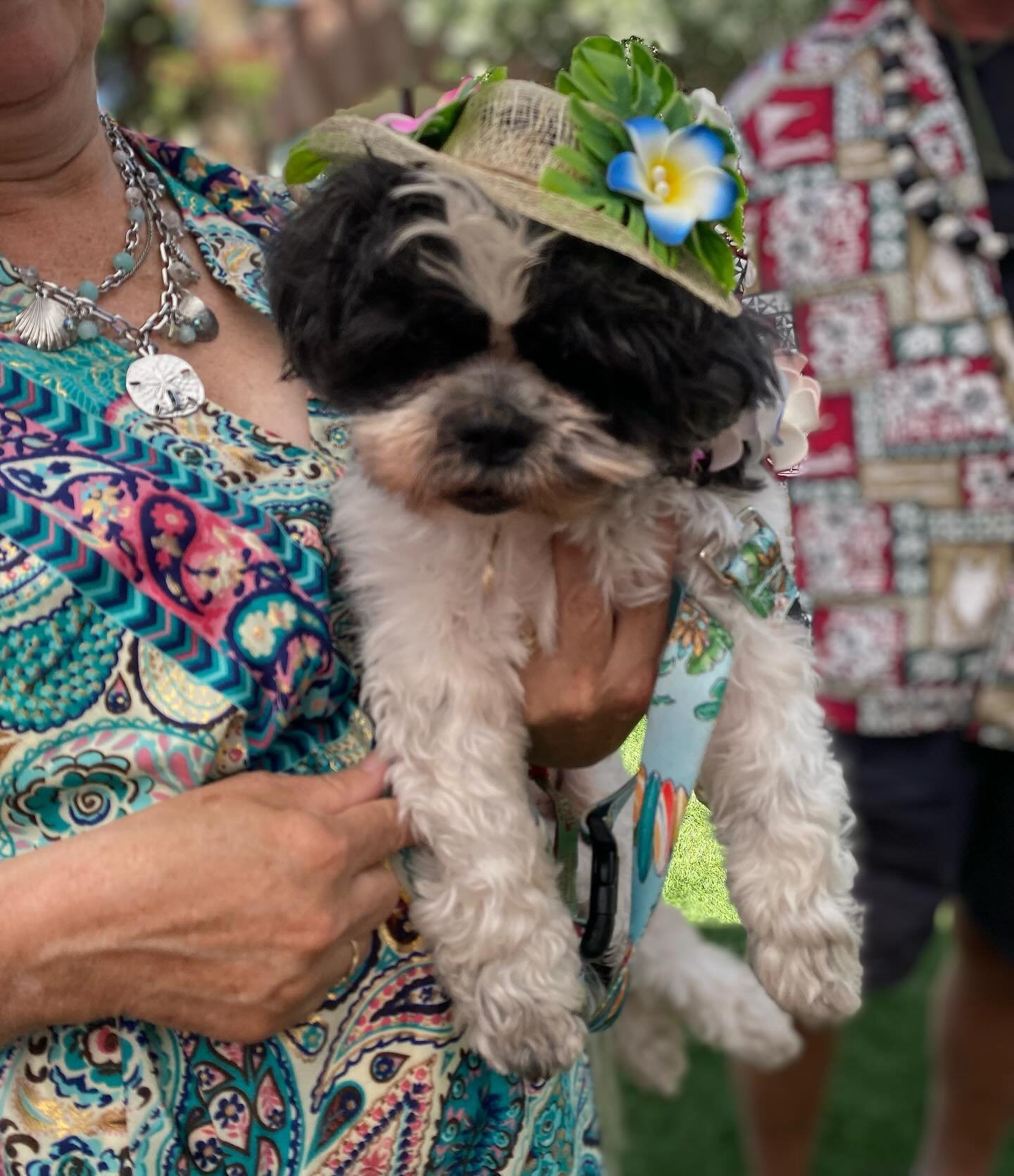 Arizona Tiki Oasis love that your leashed dogs are able to join us. The Pooch Parade will be at 11:30 today meeting in front of OH pool. 

Reminder ALL dogs need to be leashed at All times with no exceptions. Also remember to pick up after your dogs 