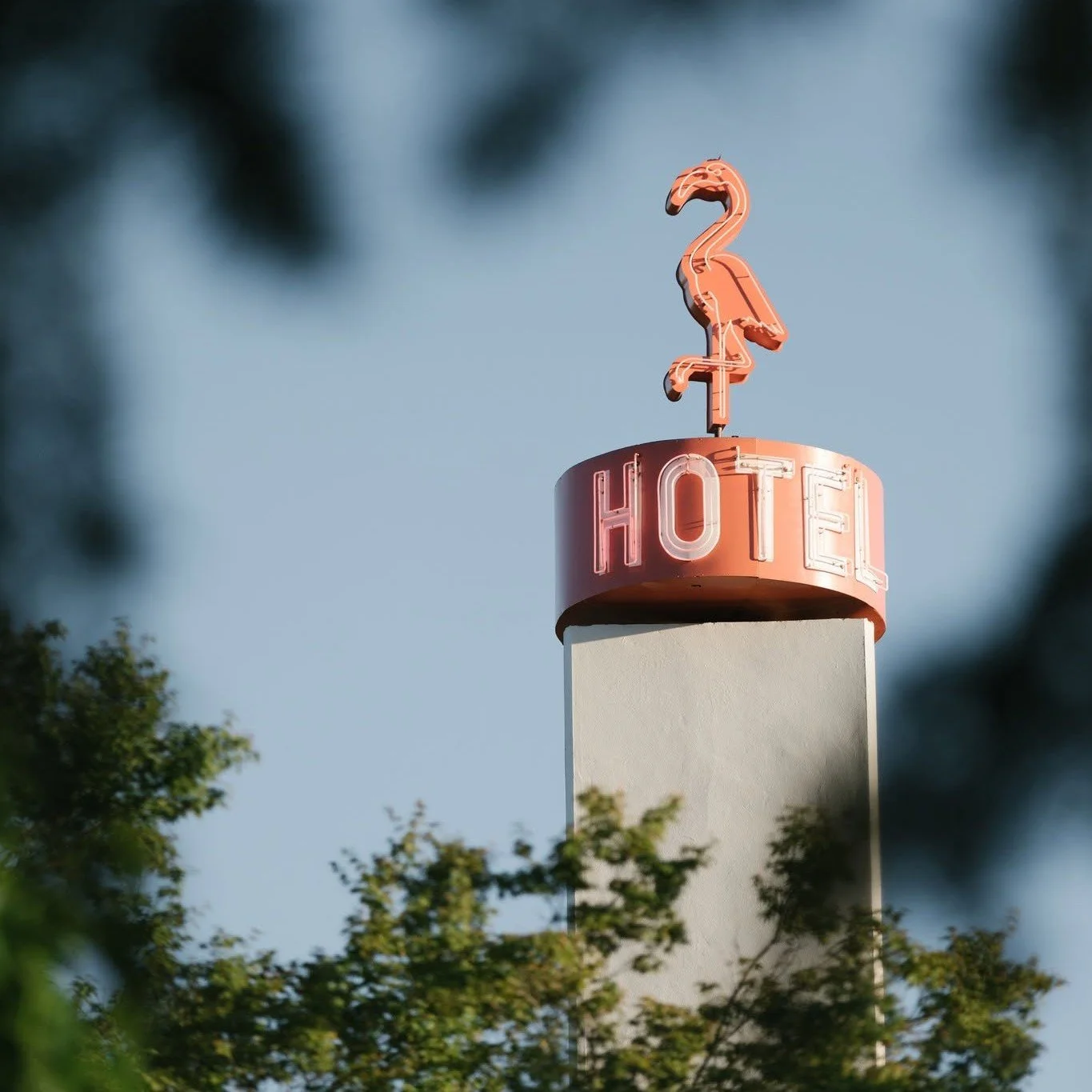 Don&rsquo;t let the season slip away&mdash;there&rsquo;s still time for one more pre-winter escape! Only a few weeks left of this fabulous weather in NorCal! Consider THIS your sign to make the most of them!
One more dip in the pool. One more weekend
