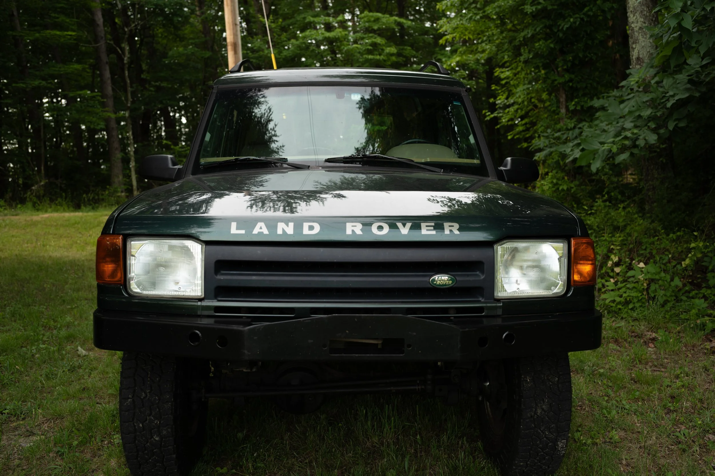 L1003135.jpg