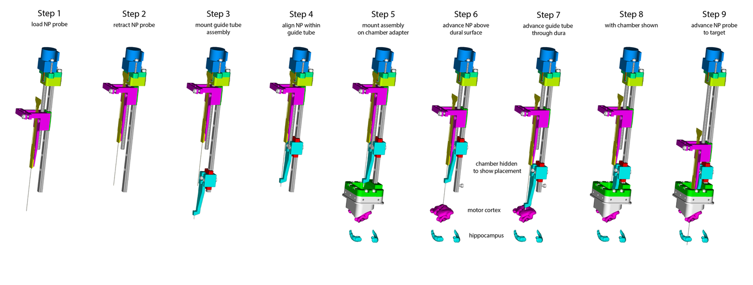 Acute Neuropixel System | Enhance Brain Research — Get Started Today ...
