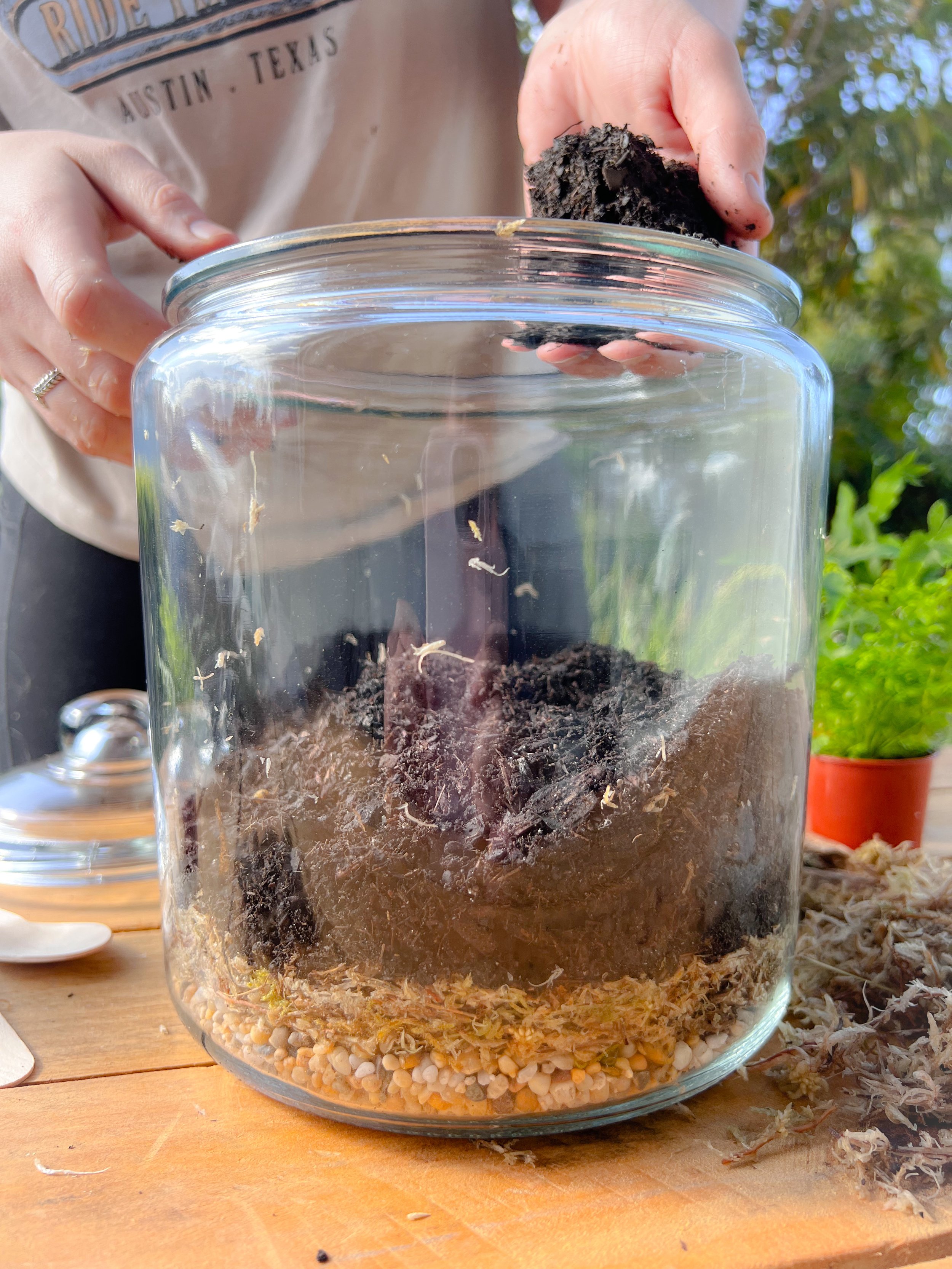 How to Store Your Leftover Sphagnum Moss