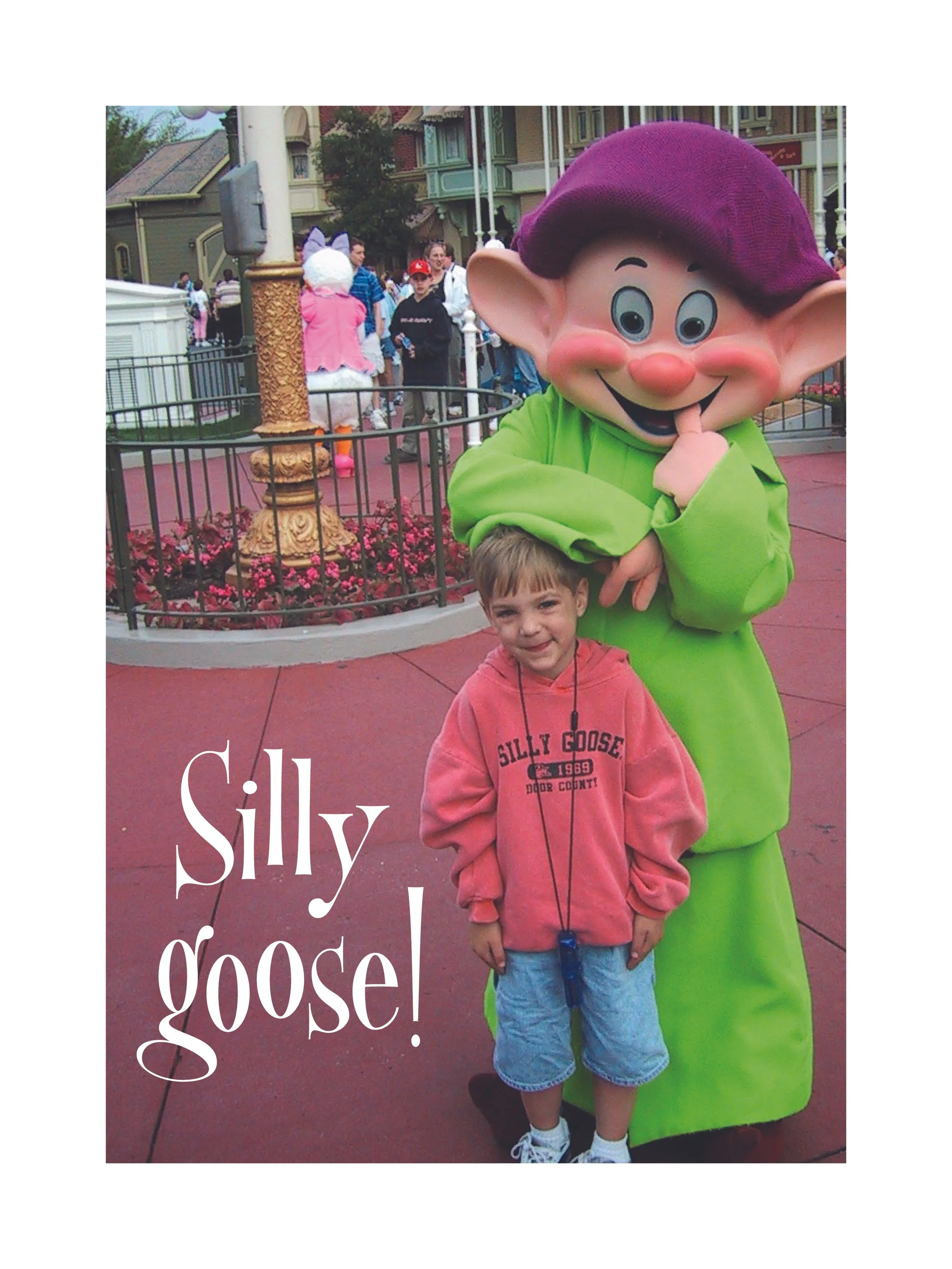 Silly-goose-01.jpg