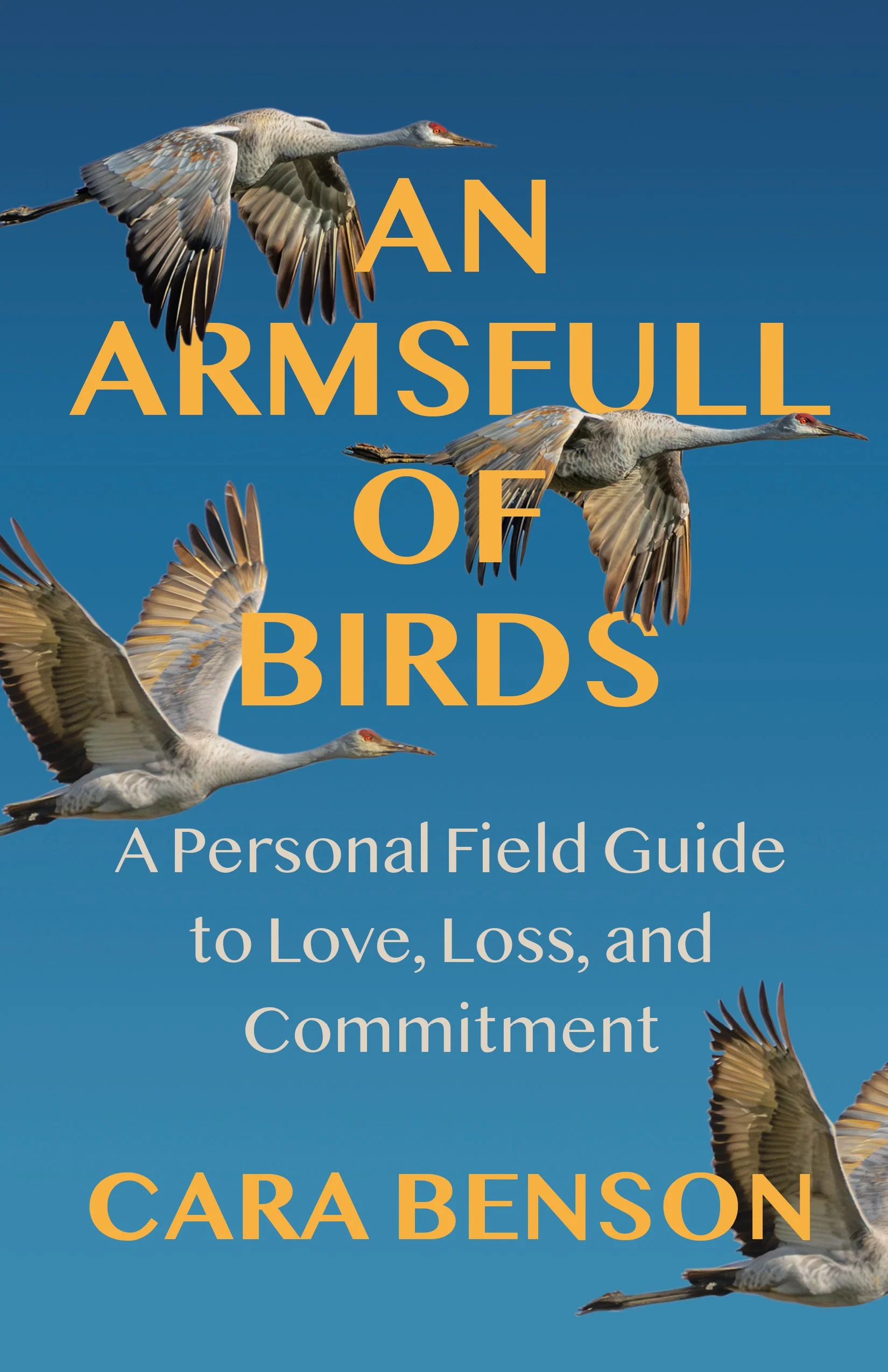 Book cover with birds flying across a blue background.