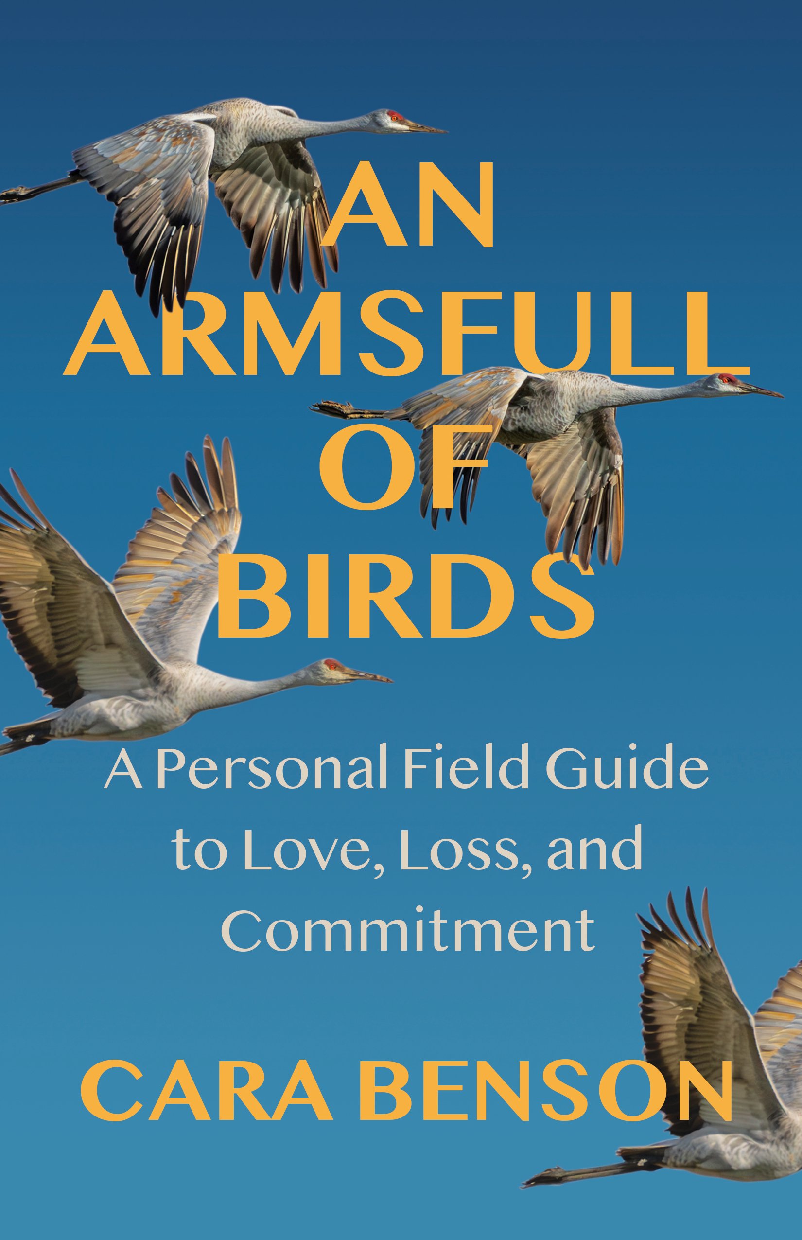 Book cover with birds flying across a blue background.