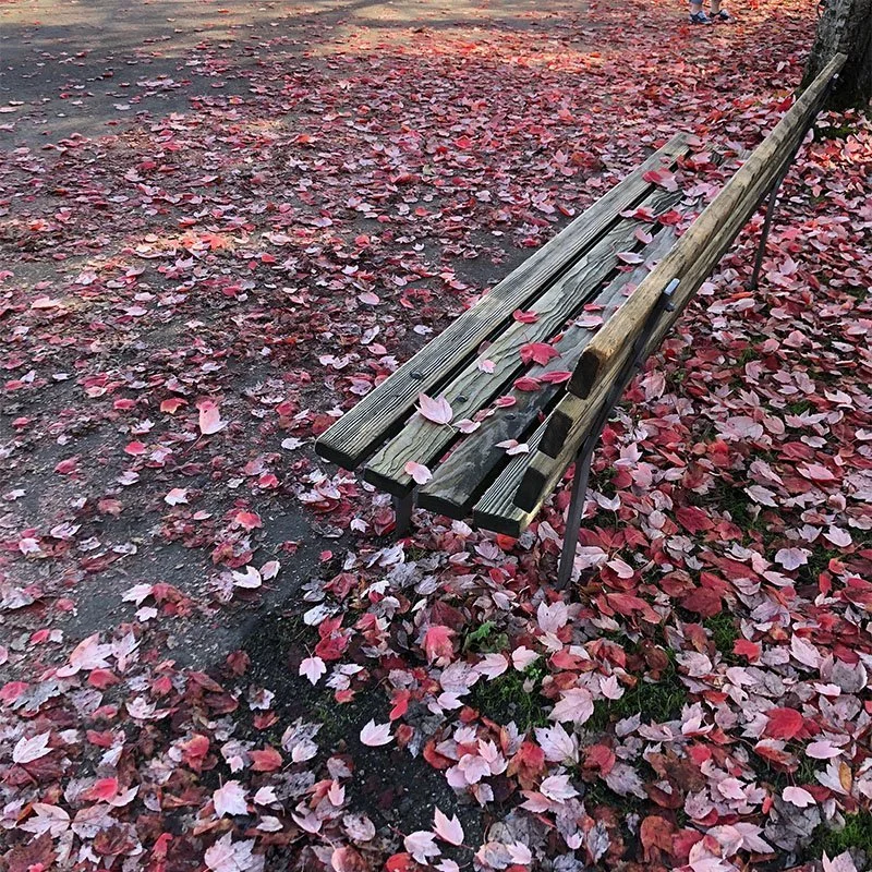 Sweet Change | Graceful Transitions