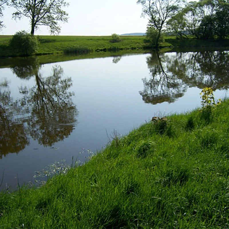 Sweet Dreams | Sleep Renewal