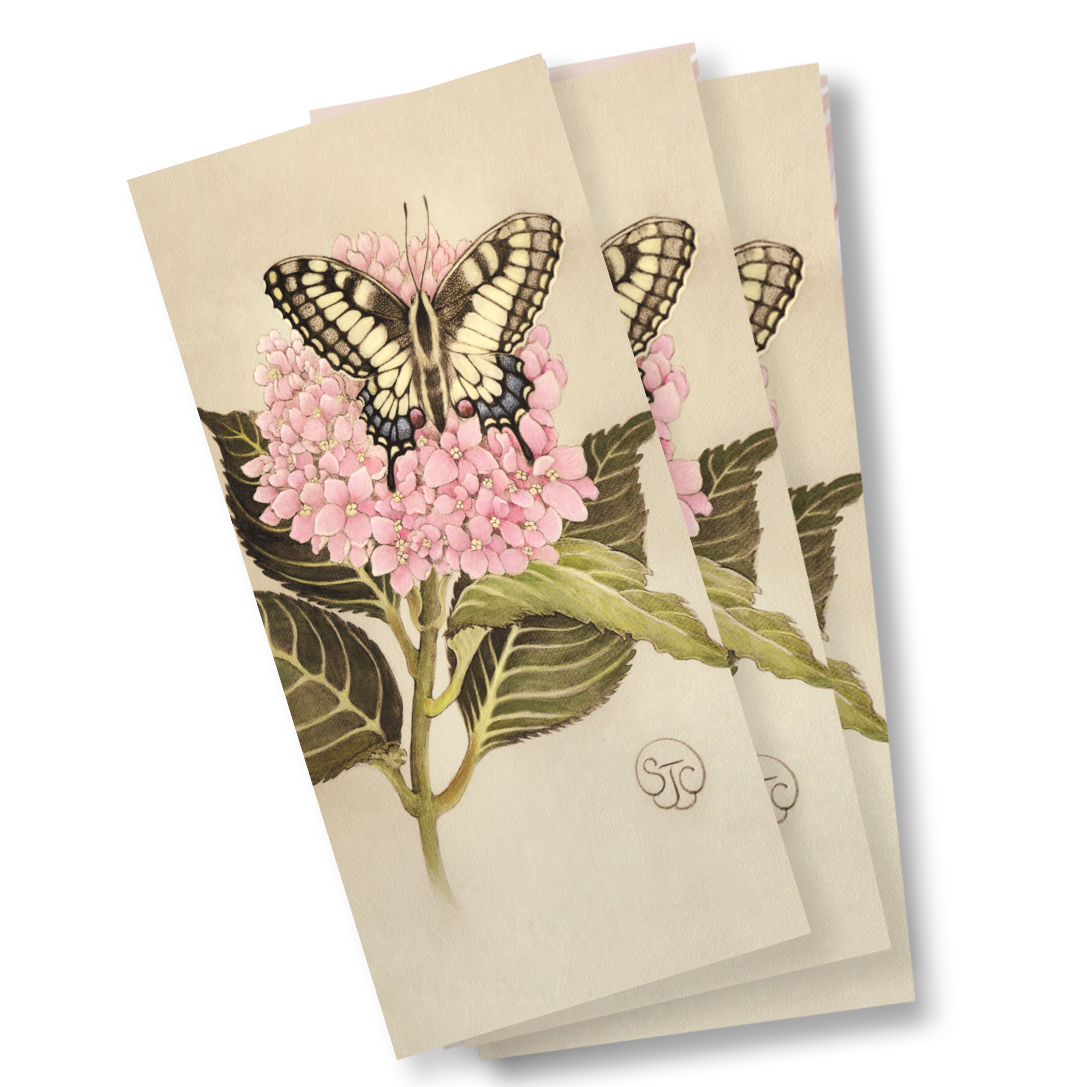 Swallowtail Hydrangea Notecard | Bookmark