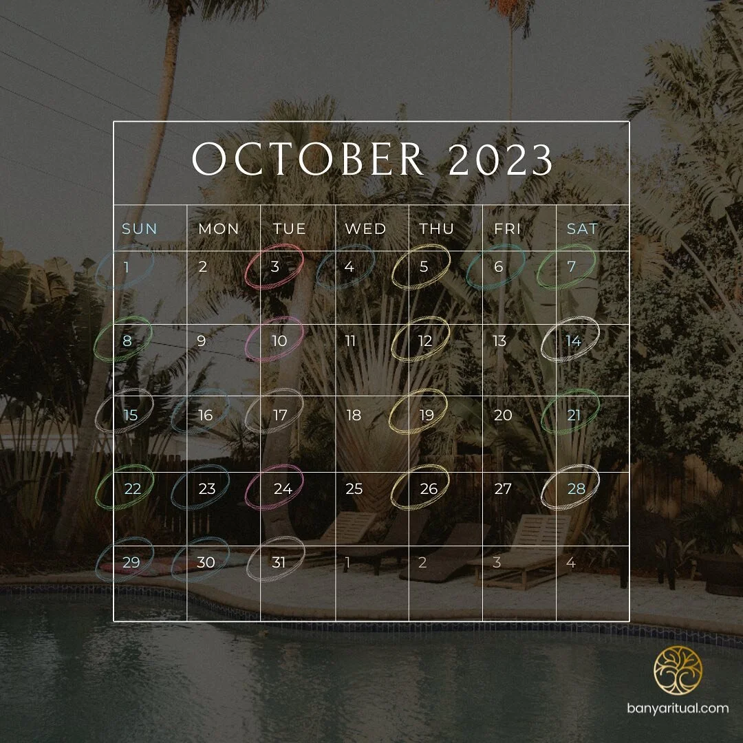 Our Calendar for October ✨
DM or call 917-348-5033 for more info 🙏🏻