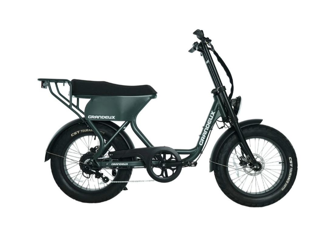 Vélo électrique avec cadre robuste, pneus gros gabarit, et panier à l'arrière.