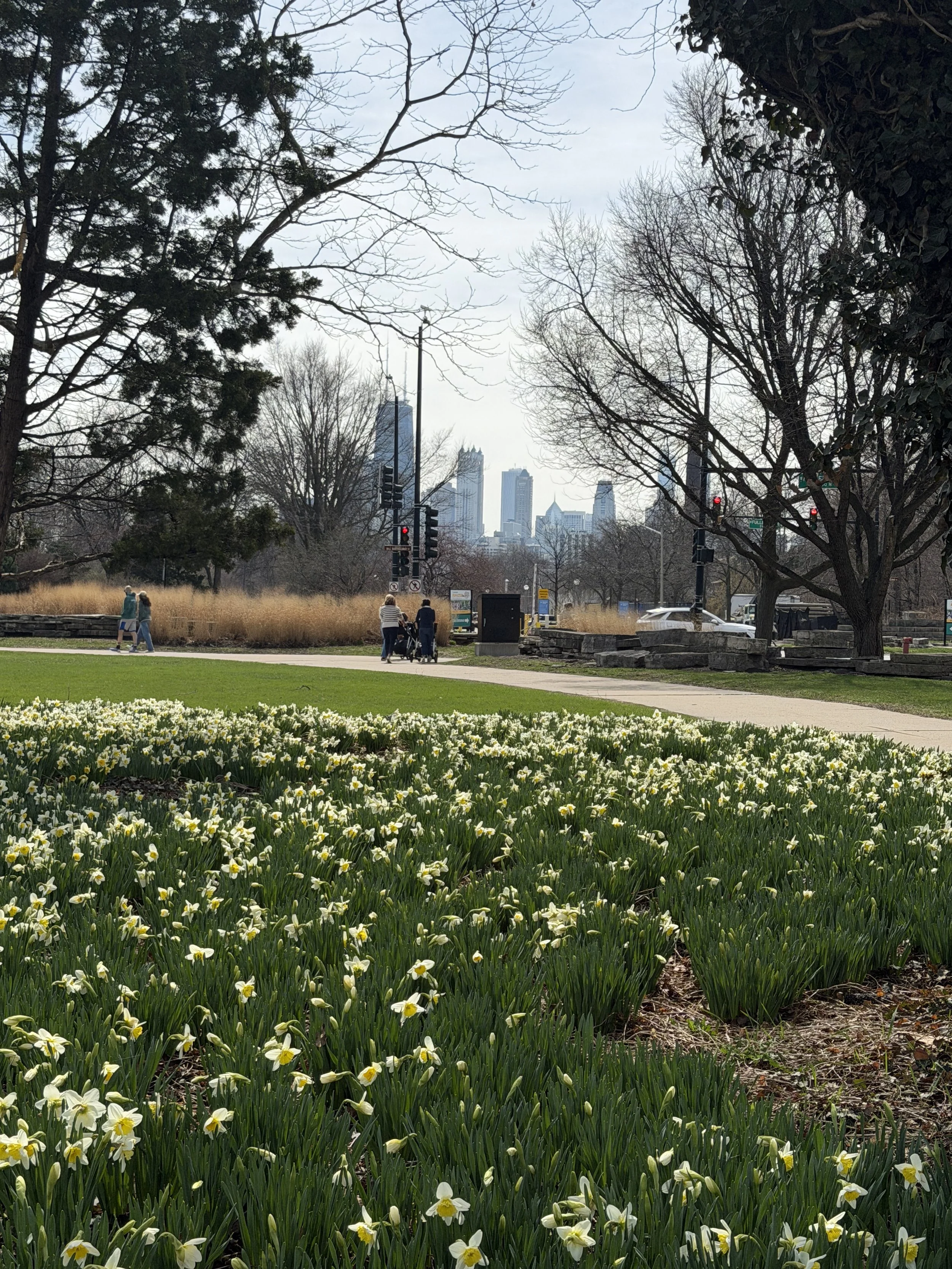anxiety therapist chicago il