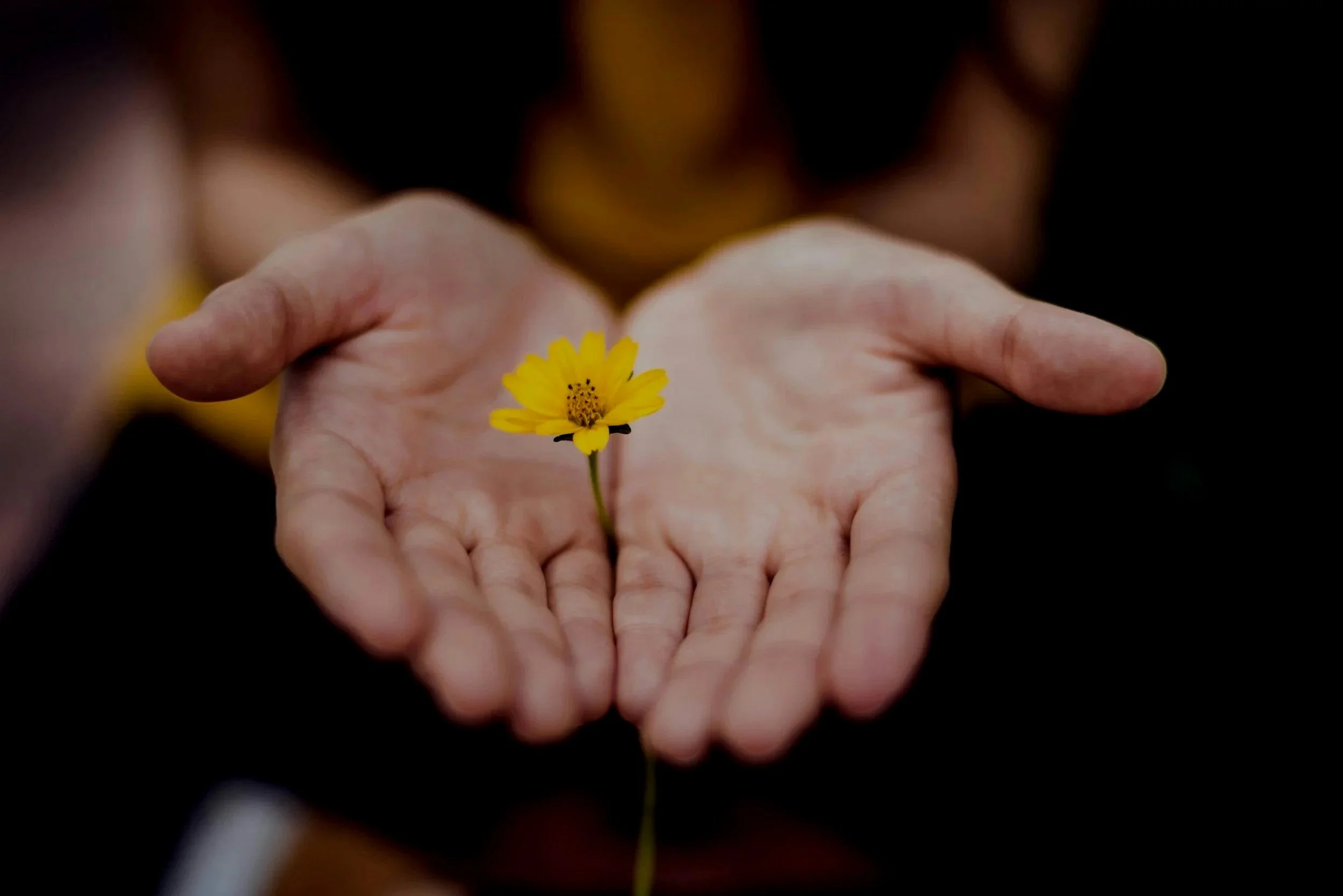 anxiety therapist chicago il