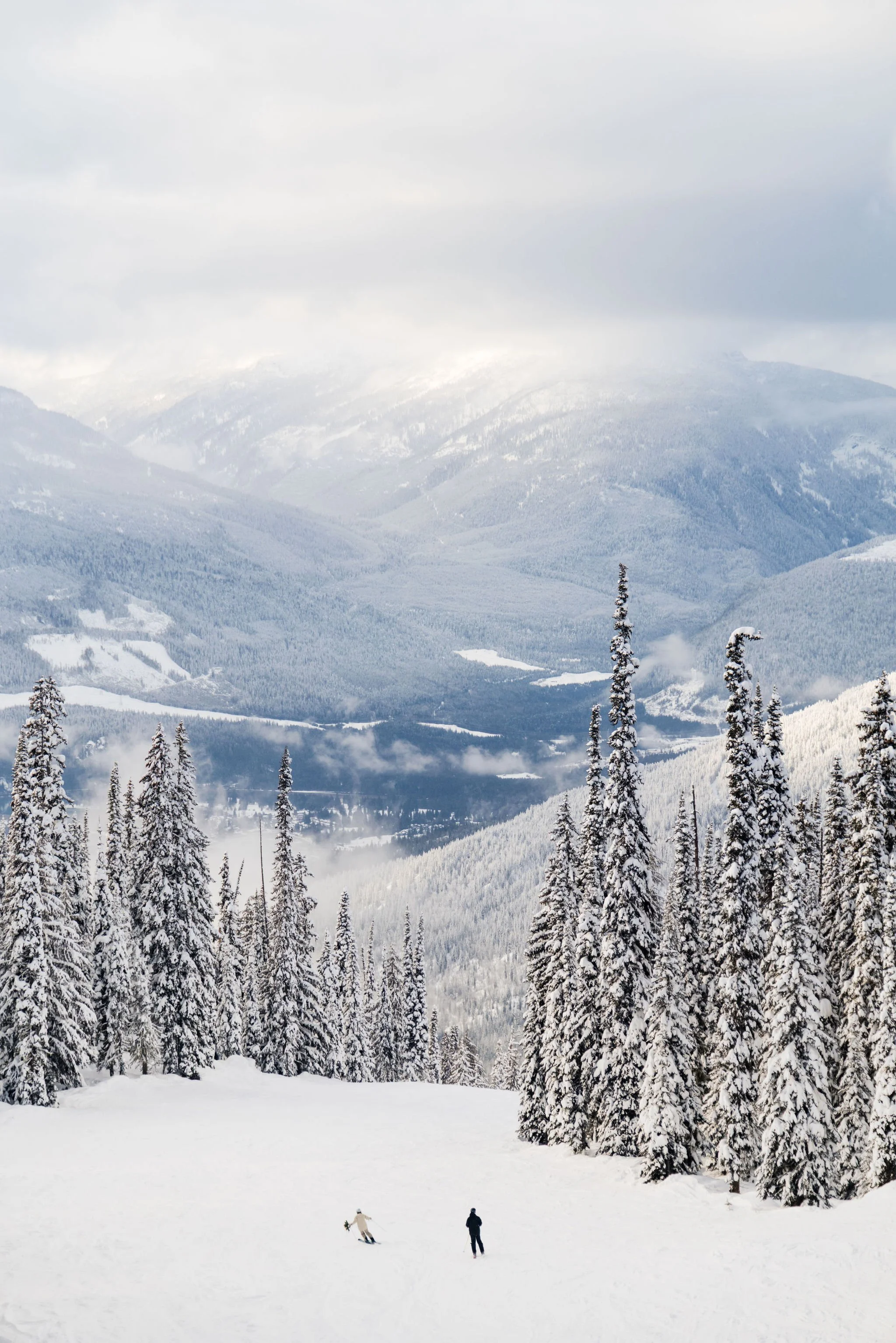 married couple skis down a mountain on their wedding day