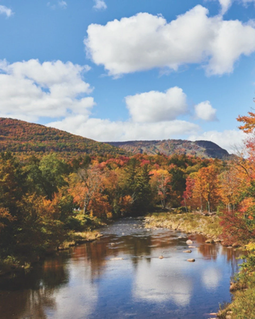 🍂 Who else is craving a cozy autumn getaway? Here are a few of my top picks where autumn truly shines:

Wildflower Farms, Auberge Collection 🐝 @wildflowerauberge &ndash; Just outside the city, spend your days foraging fresh produce, collecting hone