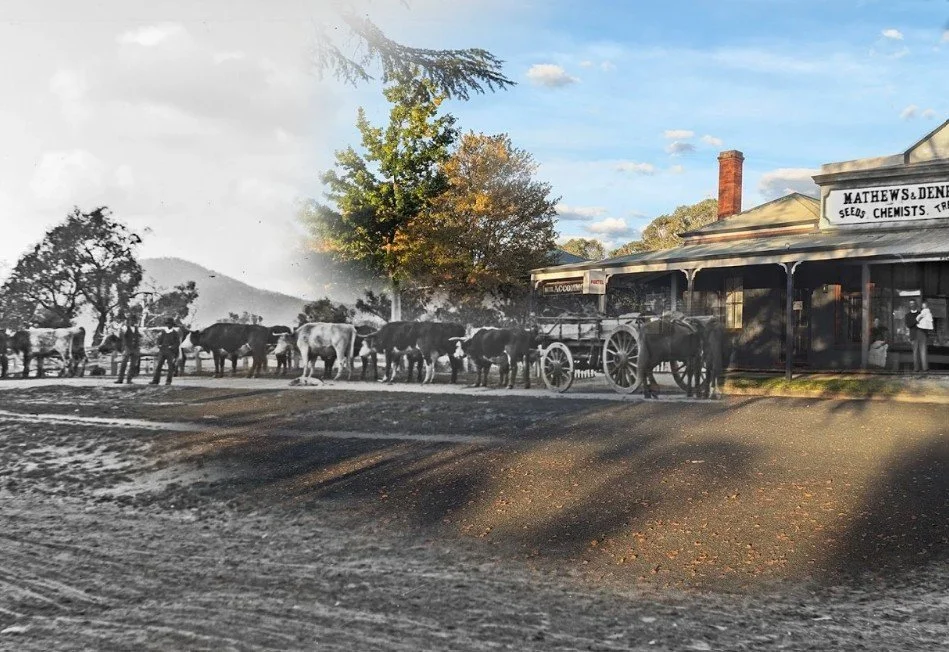 Photocard: Upper Murray legends, Bullock drivers