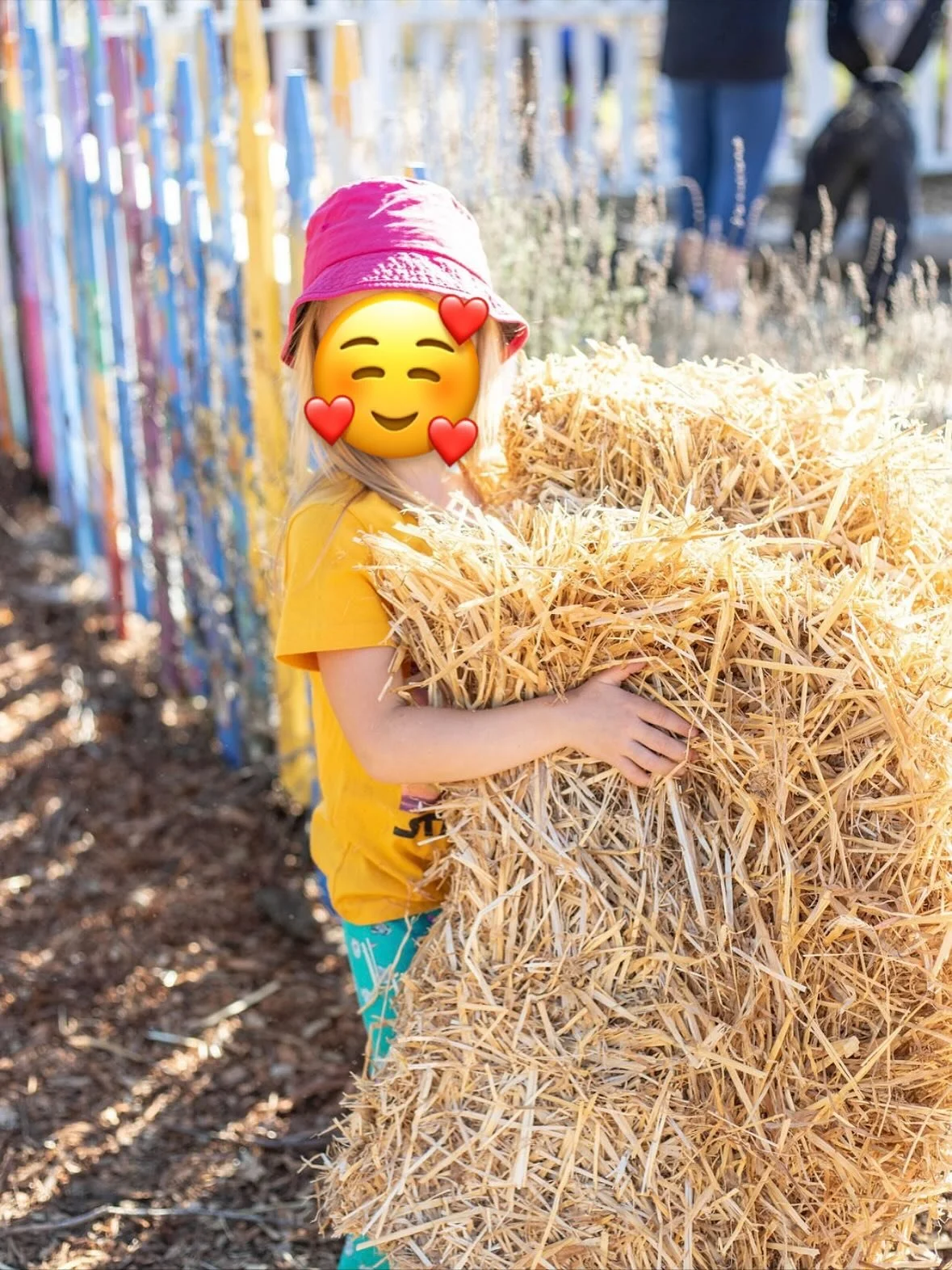 Scarecrow Fest 2025! Bellevue families had a great time building community &amp; scarecrows in the garden. Thank you to Christian and Rhianna for all their hard work setting up the event! Big thanks to @kris.d.photography for capturing all the fun!