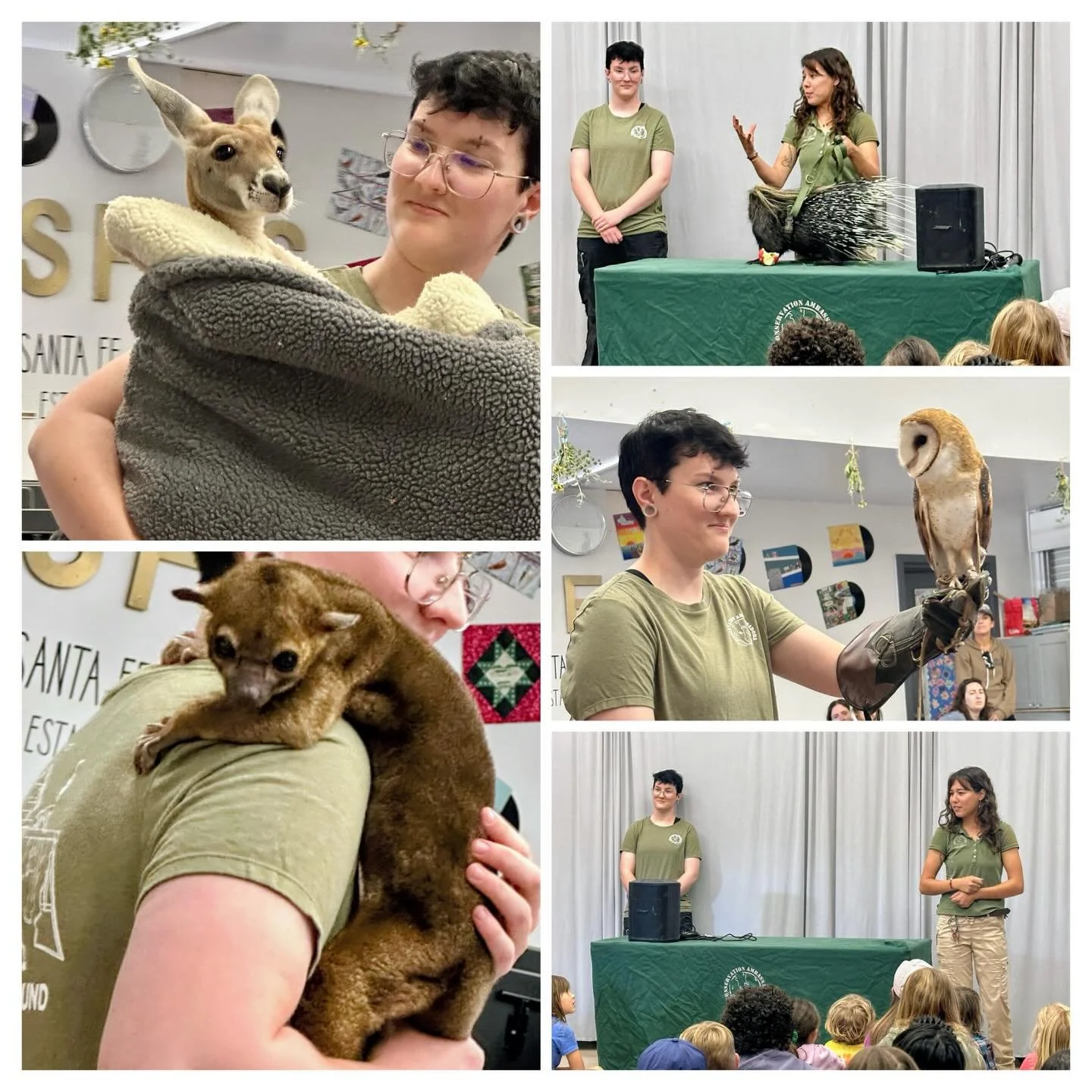 Owls and porcupines and kangaroos, oh my! Bellevue families enjoyed a special Zoo to You assembly thanks to the Garden Committee for Earth Week. Thank you to Emily and Jessie @conservation.ambassadors.zty for the fun and informative presentation this