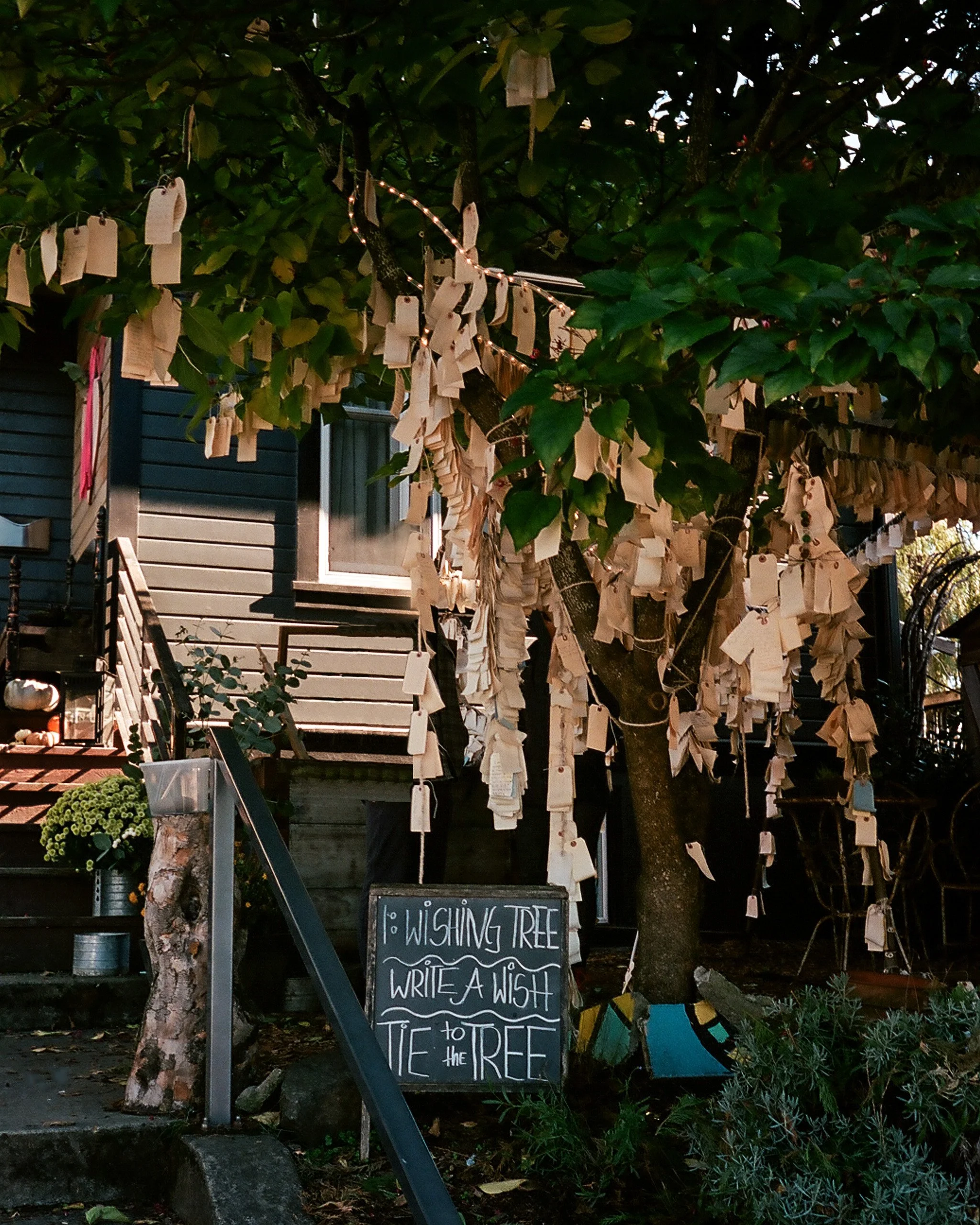 Mississippi Avenue, Portland, Oregon