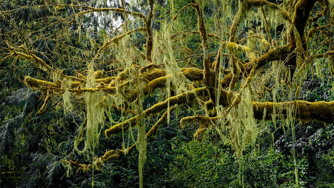 Molalla River, Oregon