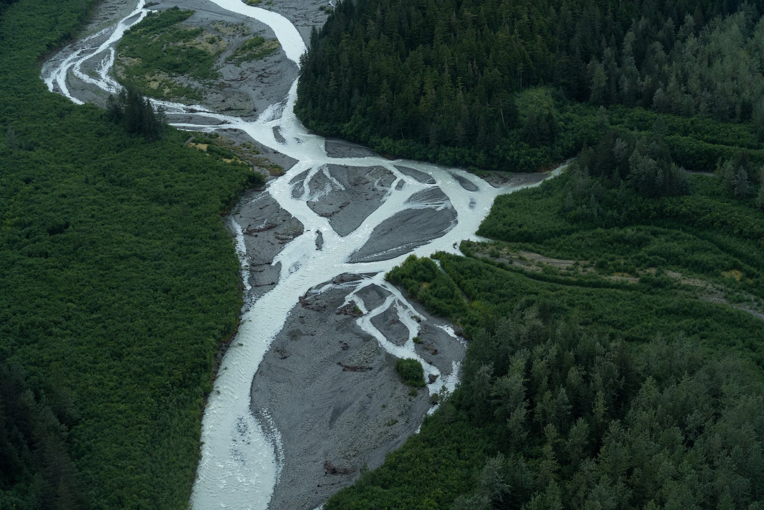 The Wolverine Glacier outwash plain carries meltwater to Prince William Sound.
