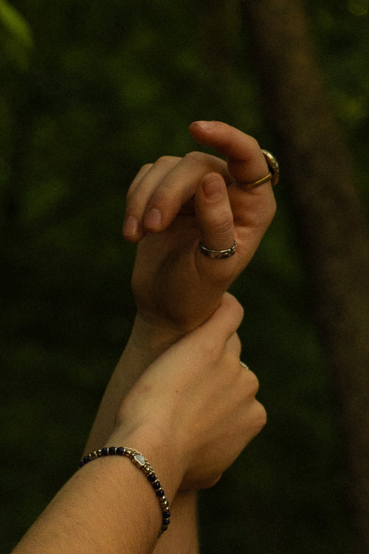 DN6A8421.jpg