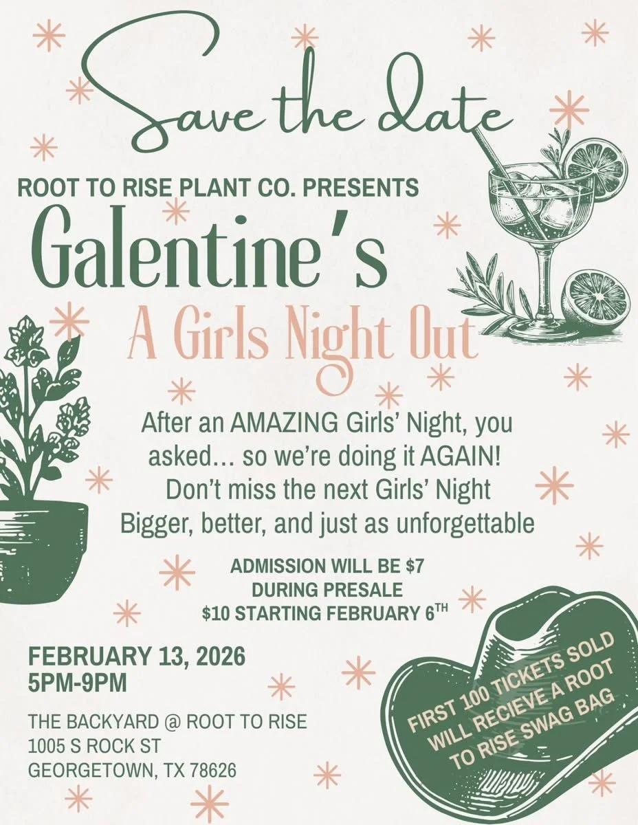 Galentine’s  A Girls Night Out
