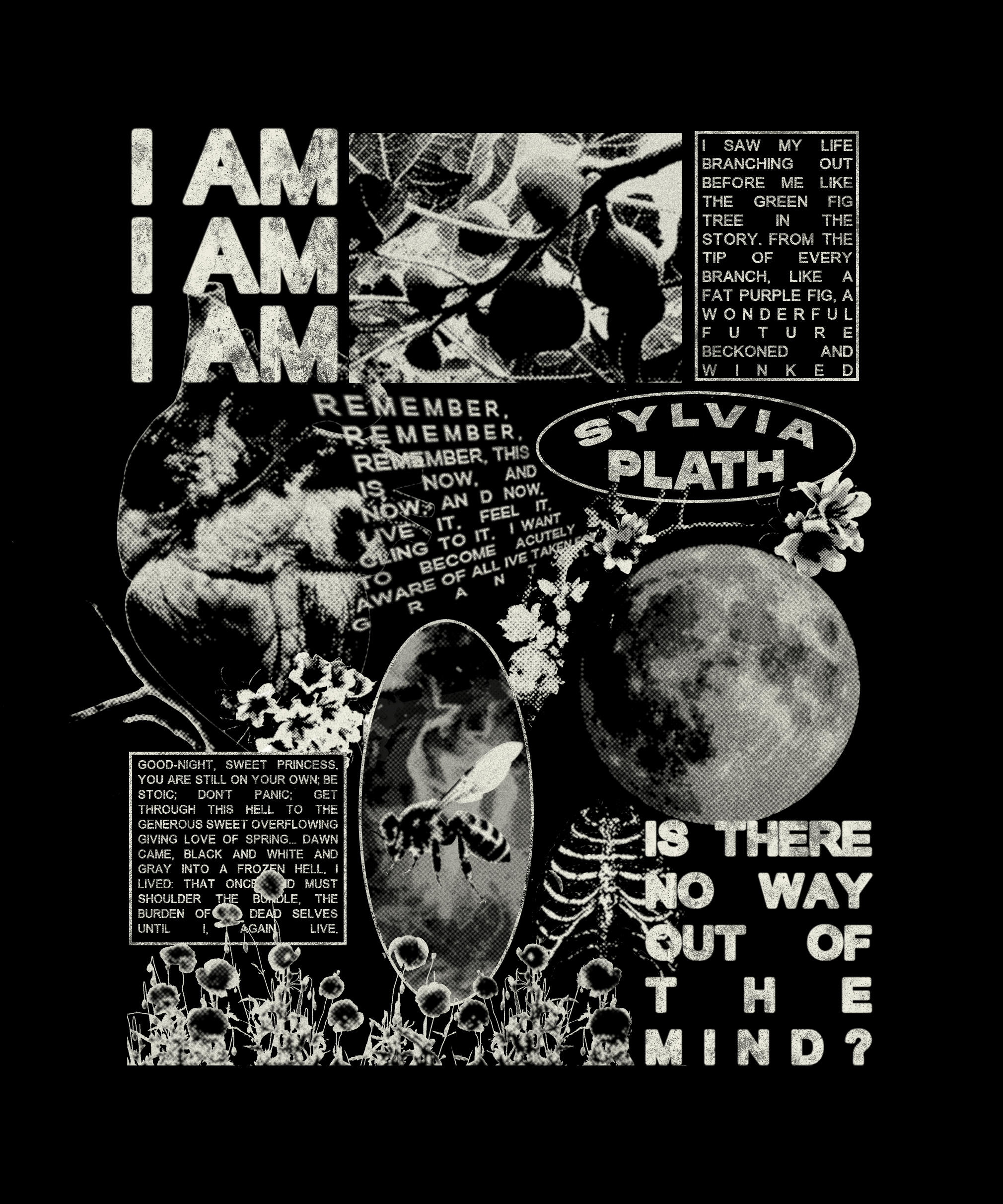 Plath T-Shirt with background.png