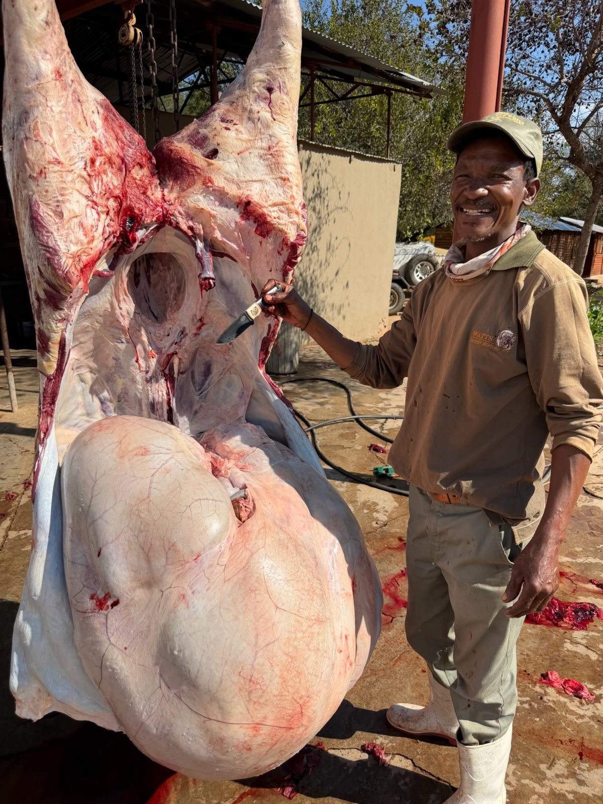 Gunsmoke Africa_2.JPG