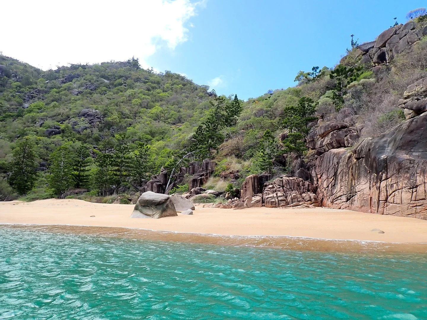 A little rain to start, a whole lot of island magic to finish ✨

The last day of school for 2025 sure knew how to turn it on! Perfect conditions rolling into the weekend. Guided tours and supervised hires running every day (except Christmas Day) righ